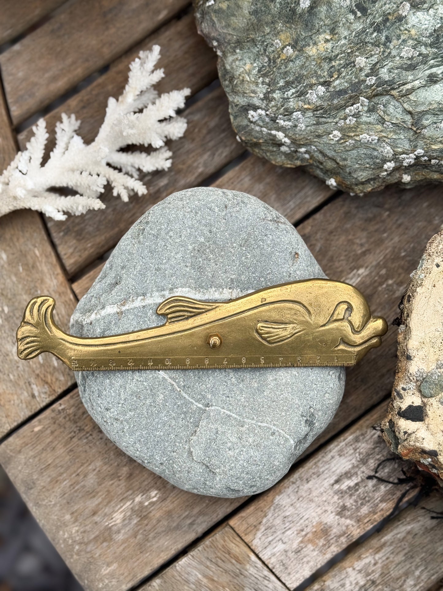 Vintage Midcentury Italian Solid Brass Dolphin Ruler (15cm)