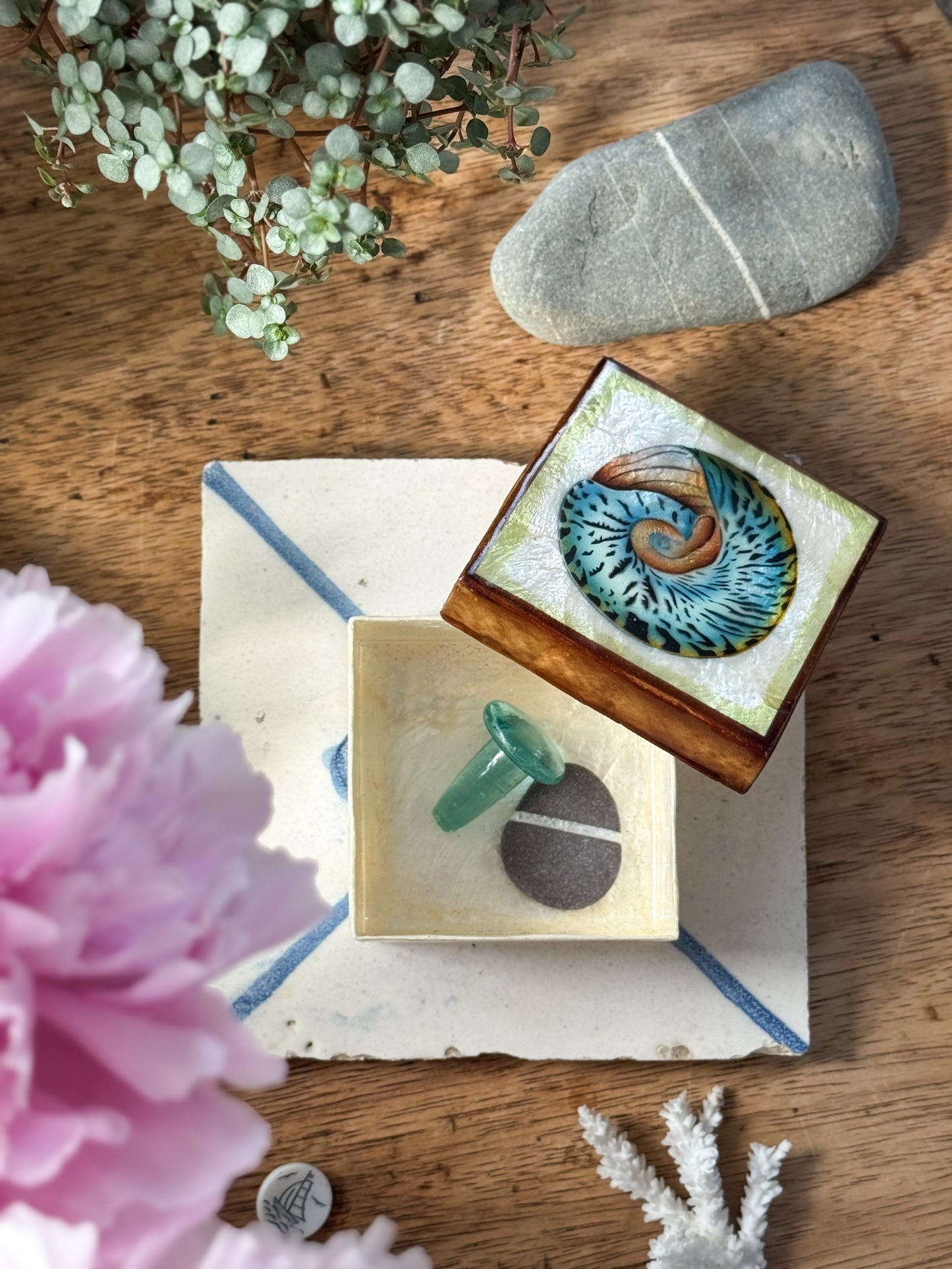 Vintage Capiz Shell Box with Spiral Shell Illustration