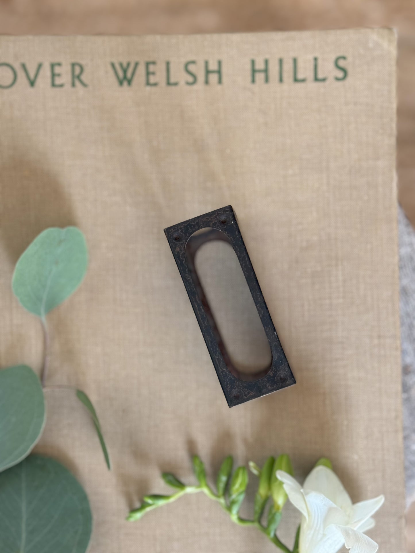 Vintage Enamel Bryant & May’s Daffodil Match Box Cover