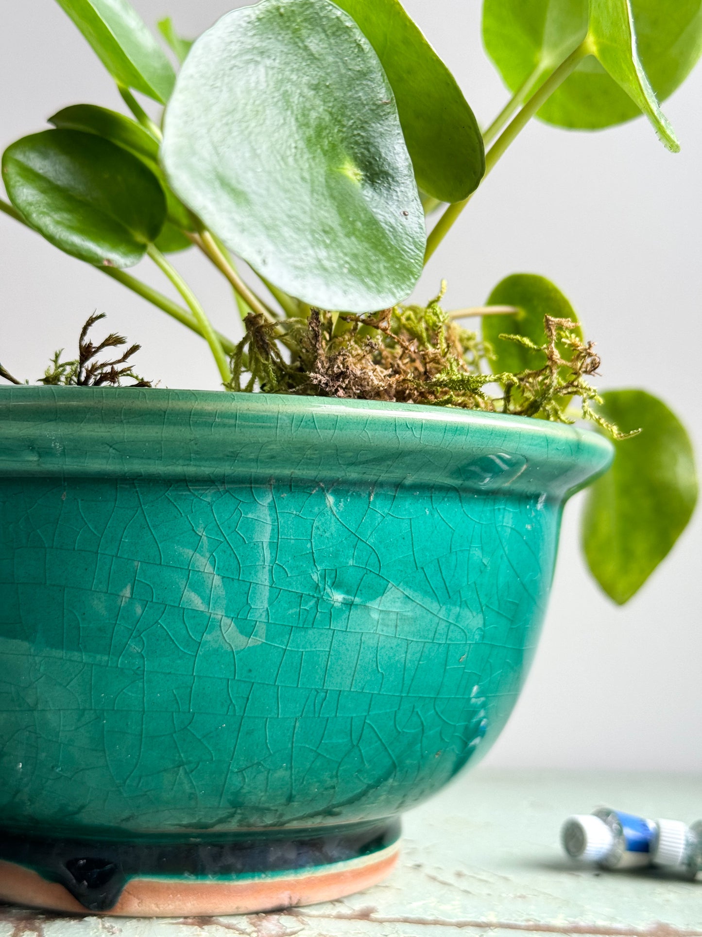 Antique Green Glazed Ceramic Bowl