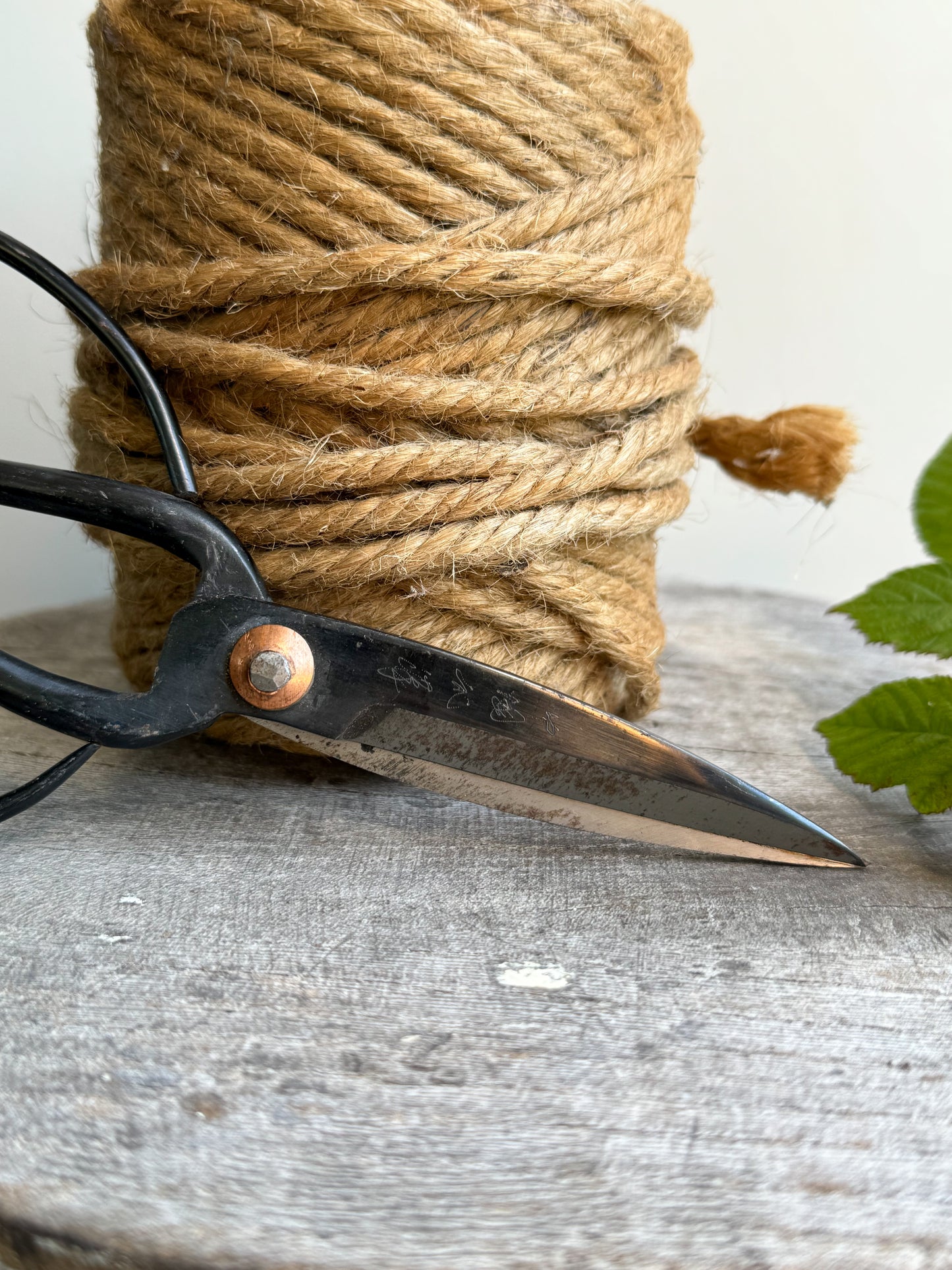 Large Vintage Japanese Bonsai Scissors & Vintage Garden Twine