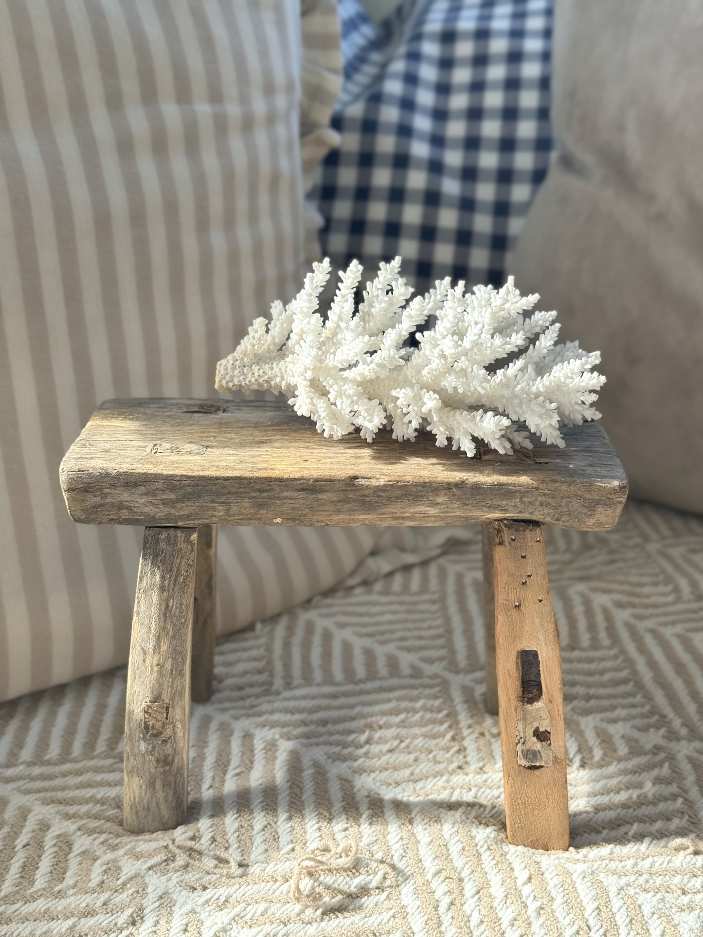 Vintage Tiny Elm Stool (Option 3)