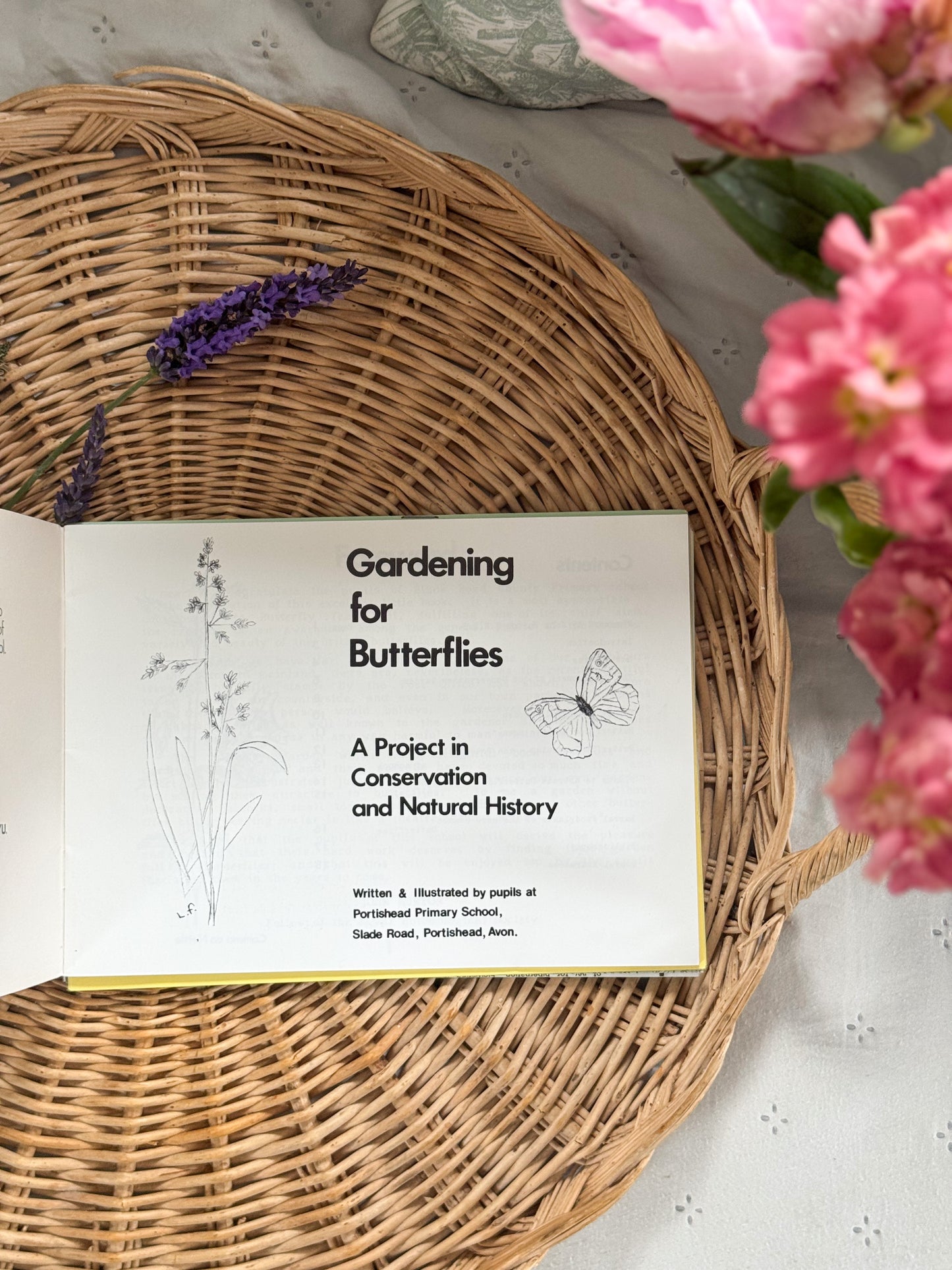 Gardening for Butterflies, A Conservation Project by Portishead Primary School