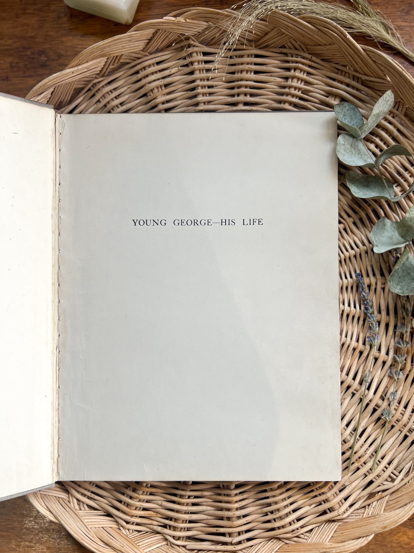 Antique Young George - His Life By Edith Farmiloe, 1902