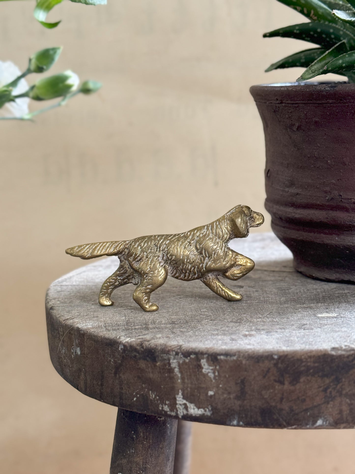 Small Solid Brass Irish Setter