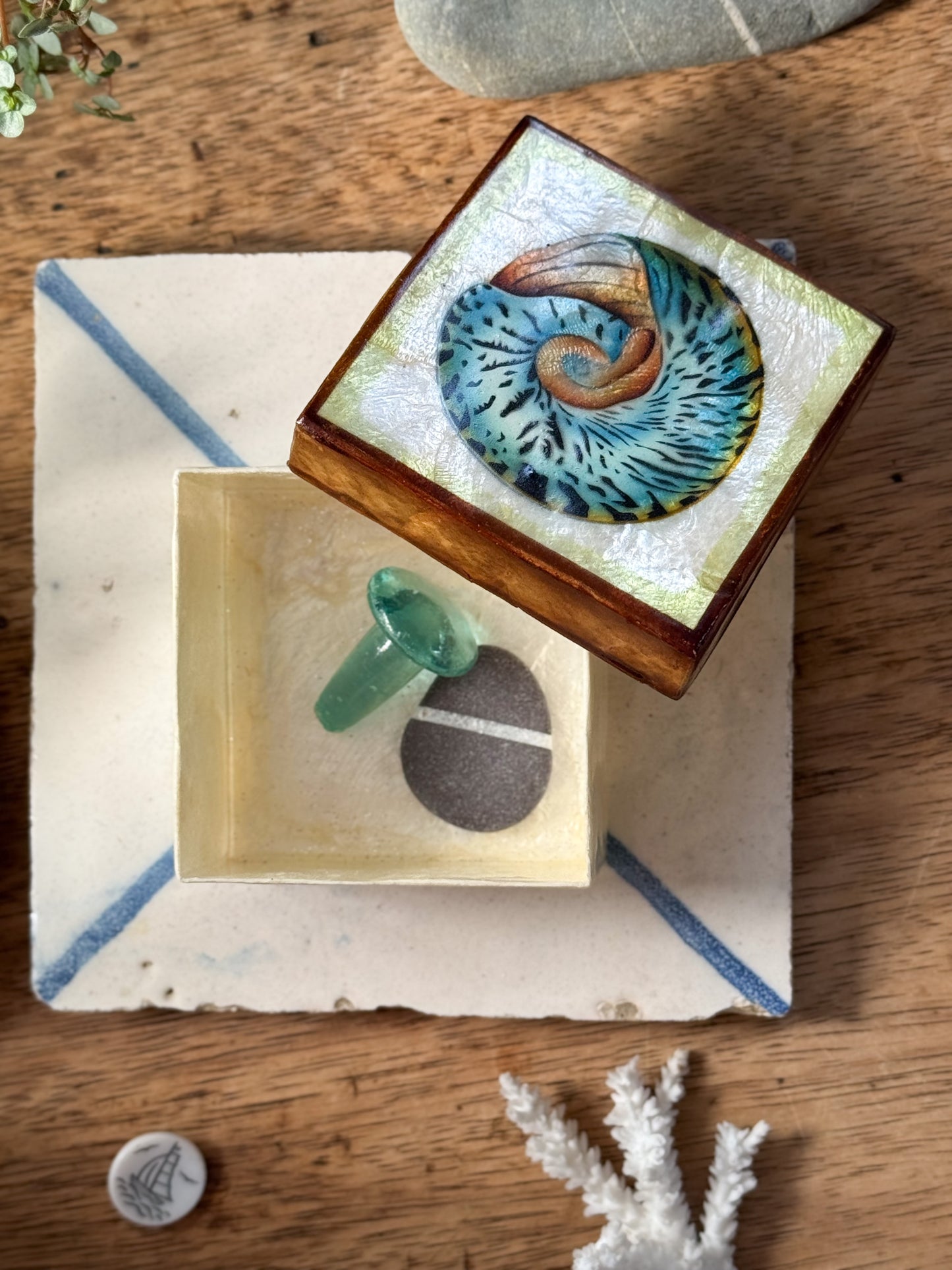 Vintage Capiz Shell Box with Spiral Shell Illustration