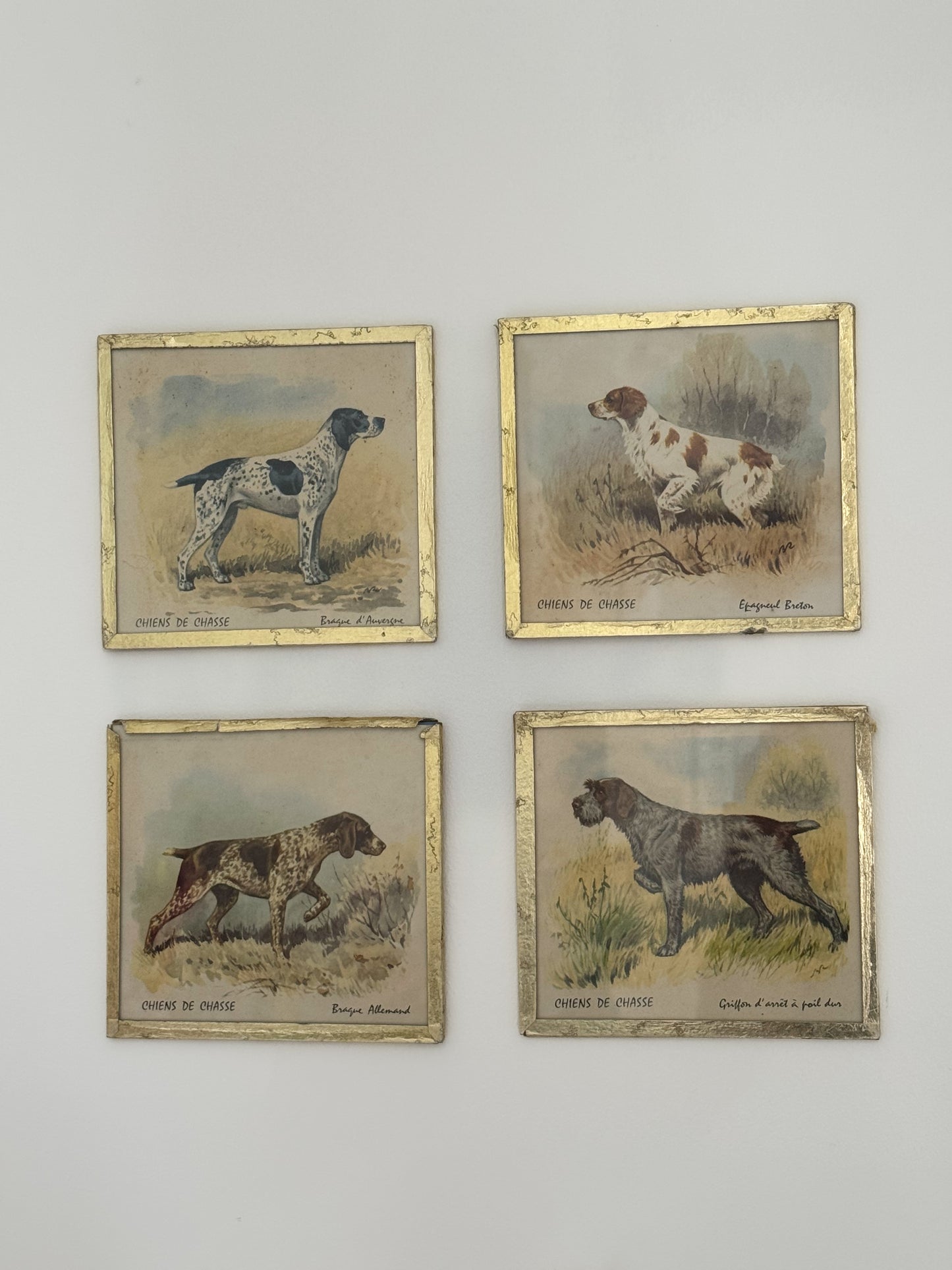 Antique French Chiens de Chasse, Hunting Dog Prints in Glass Frames • Set of 4