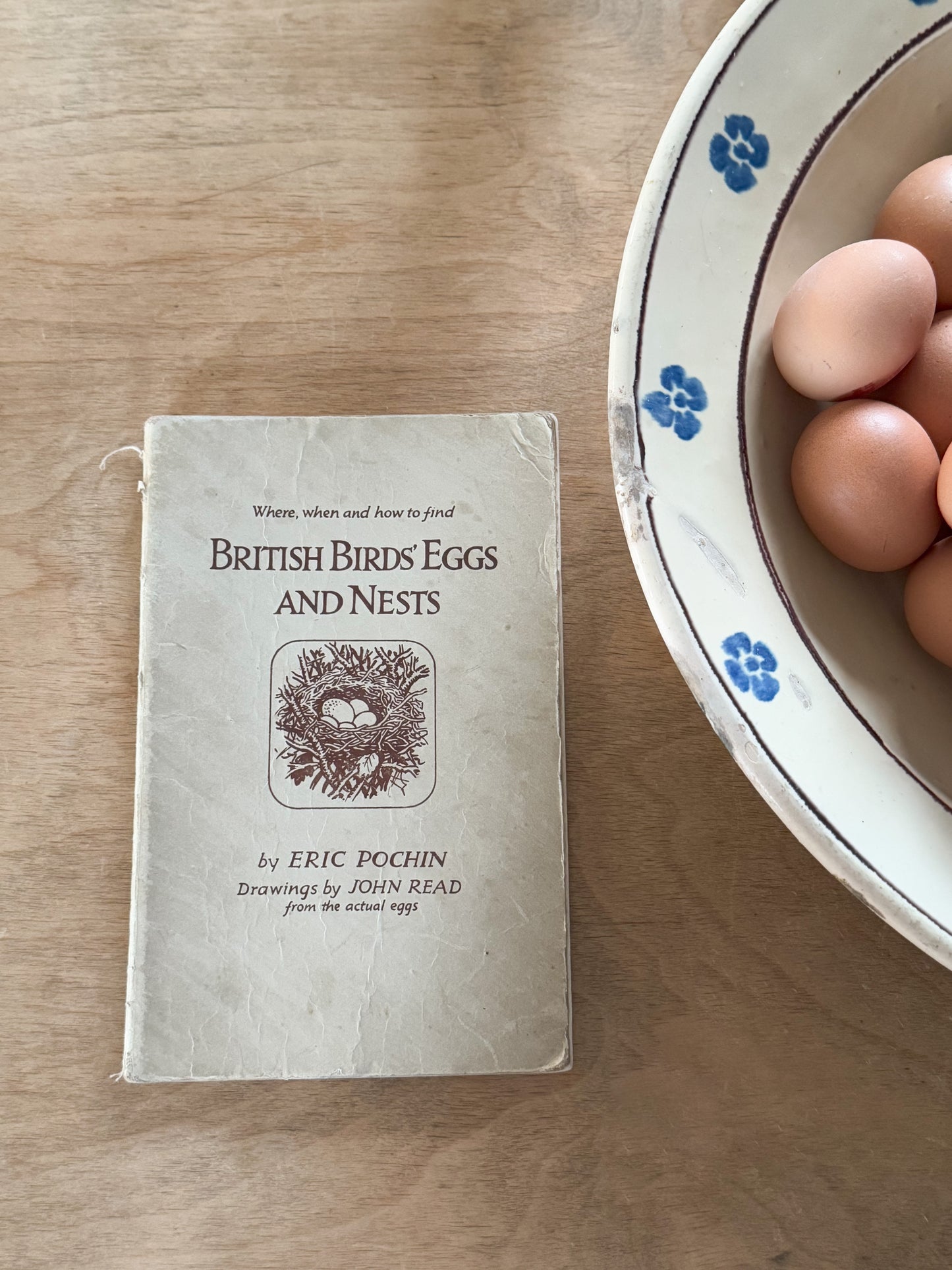 British Birds’ Eggs And Nests by Eric Pochin, 1950