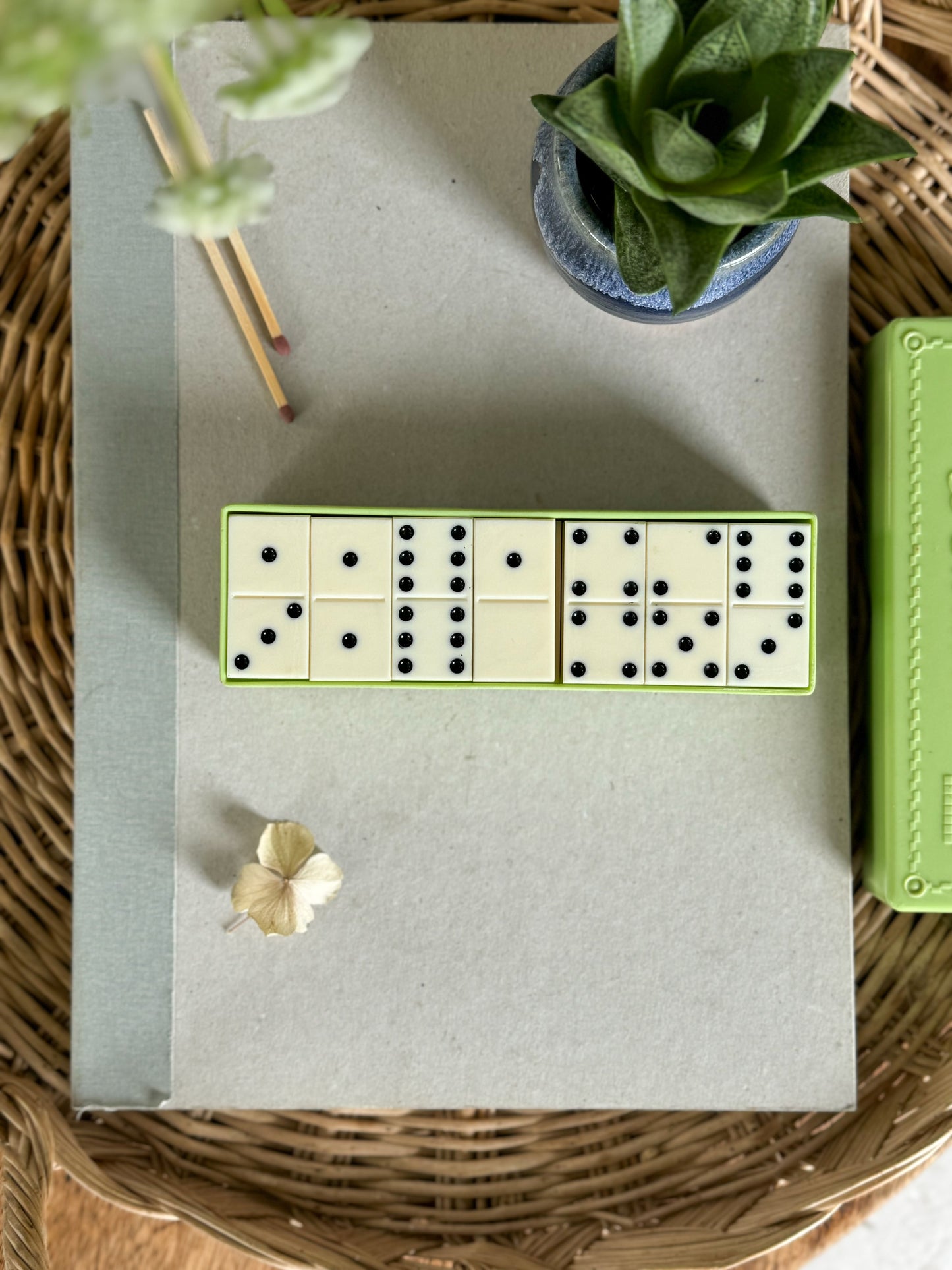 Vintage Bakelite Dominoes