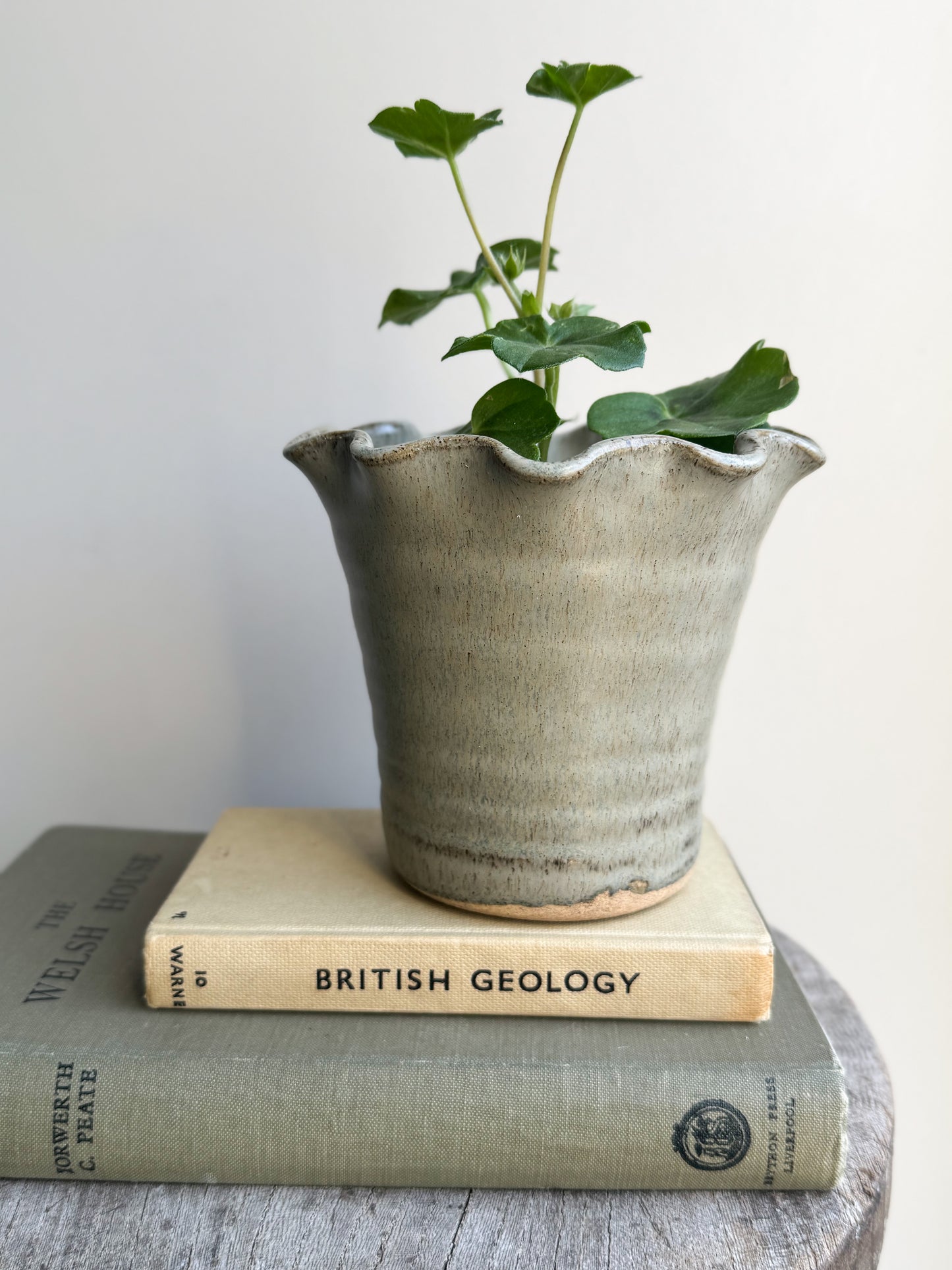 Vintage Studio Pottery Scalloped Plant Pot