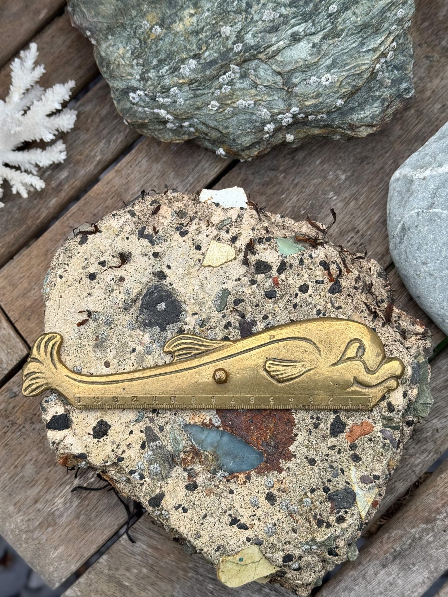 Vintage Midcentury Italian Solid Brass Dolphin Ruler (15cm)