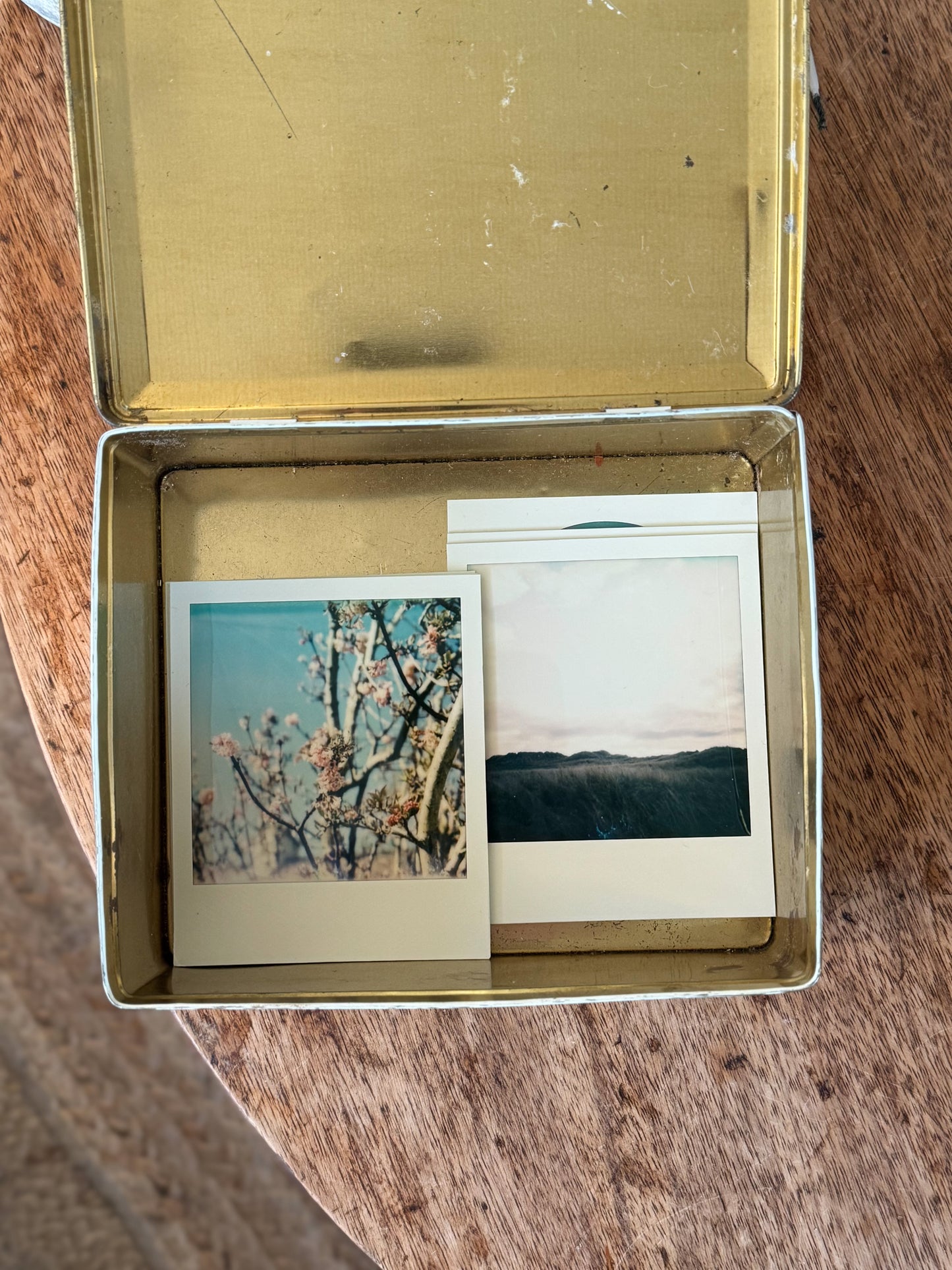 Vintage Enamel Tin with Duck Illustration