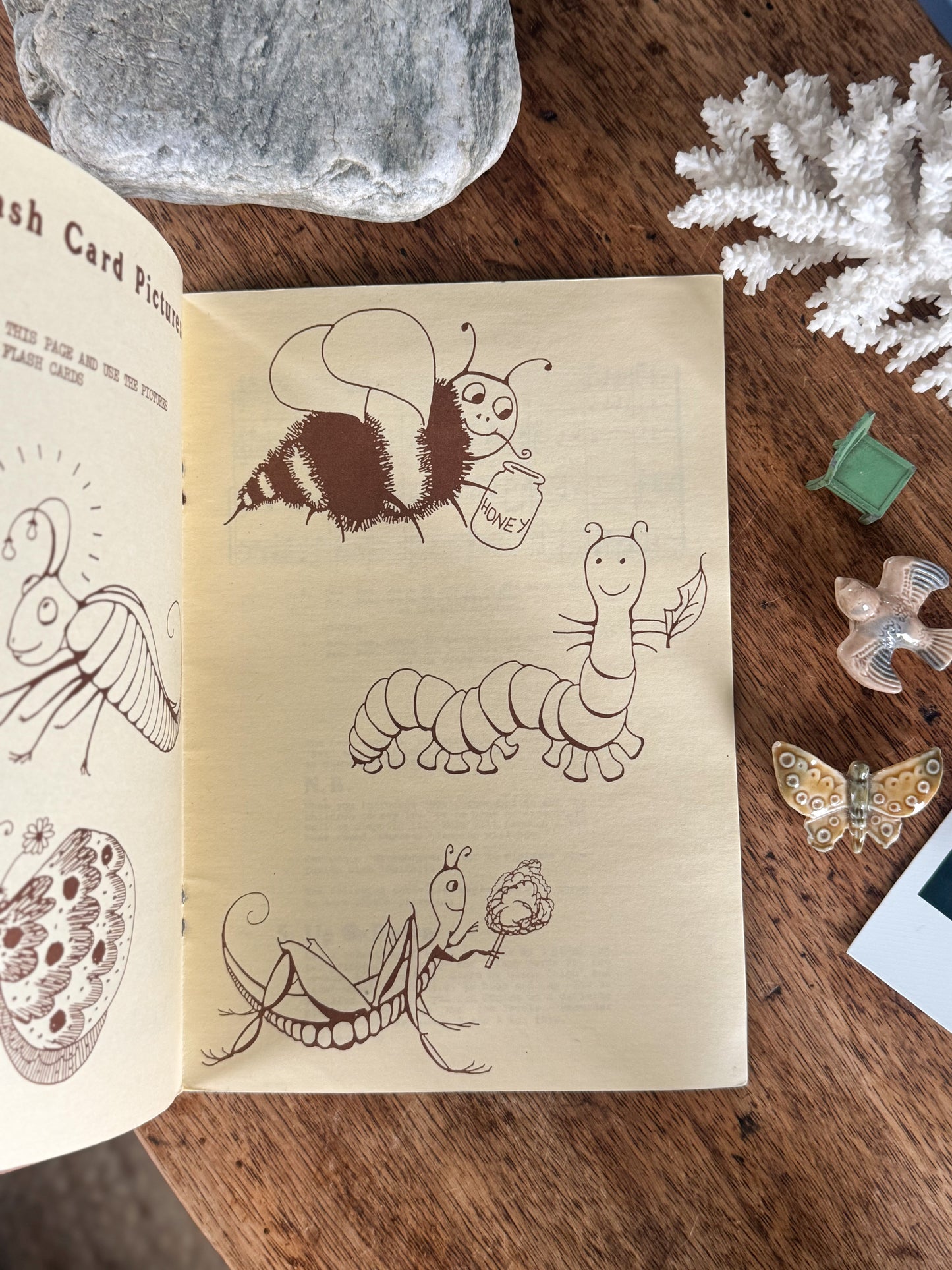 Vintage ‘A Creepy Crawly Book’ by Jan Holdstock, 1983