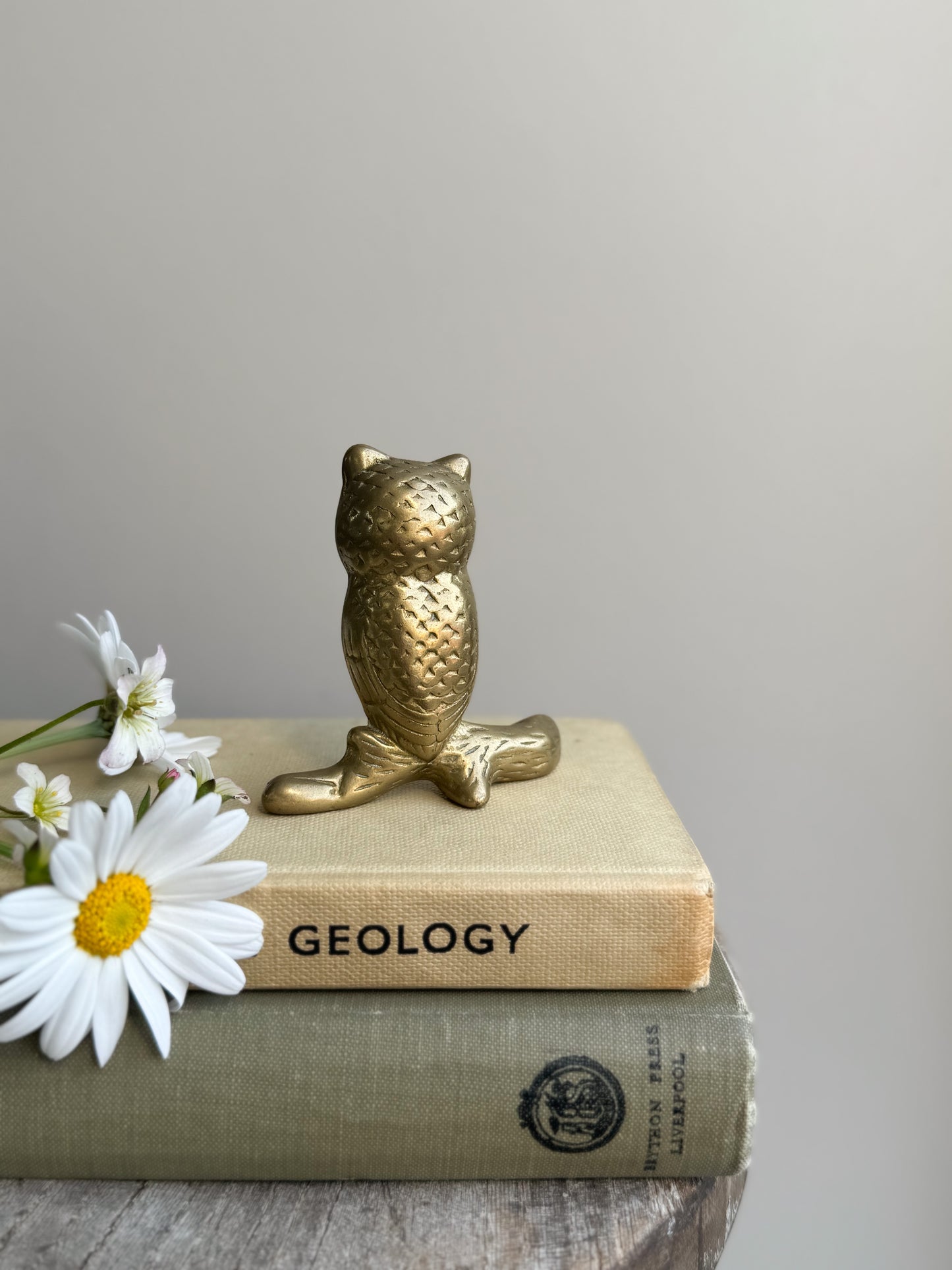Vintage Solid Brass Owl Paperweight