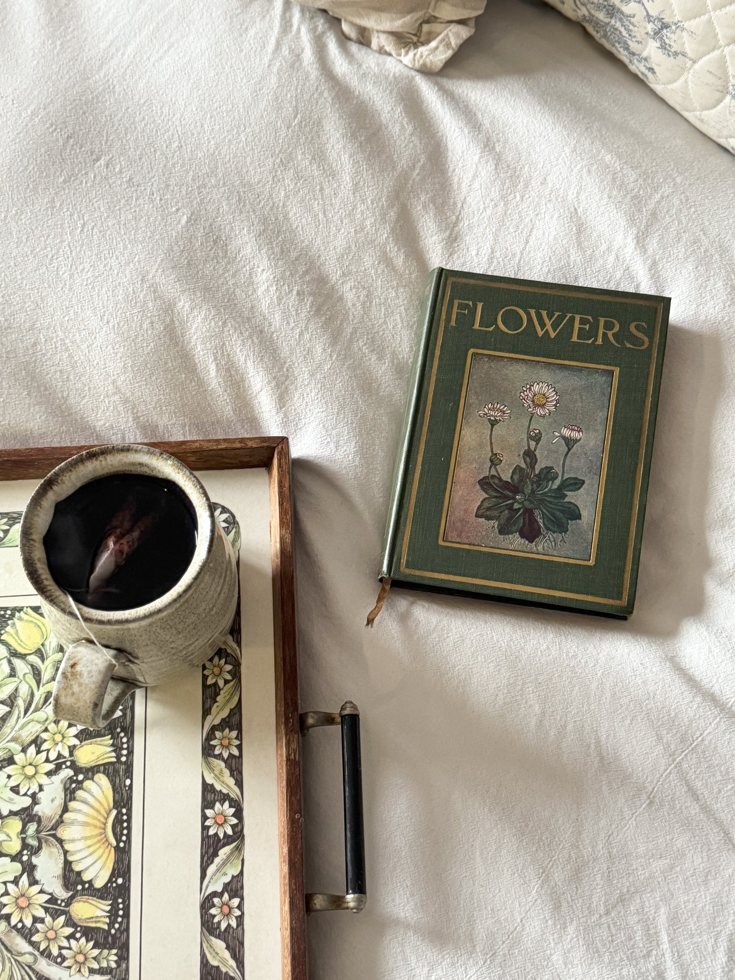 Flowers by Janet Harvey Kelman, Described by C.E Smith