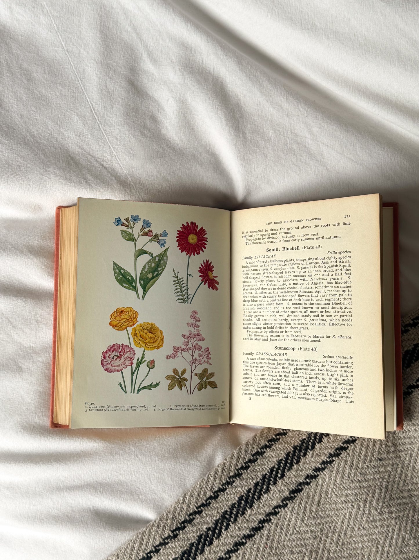 A Pocket Guide, The Book of Garden Flowers, 1959, G.A.R Phillips, Frederick Warne & Co