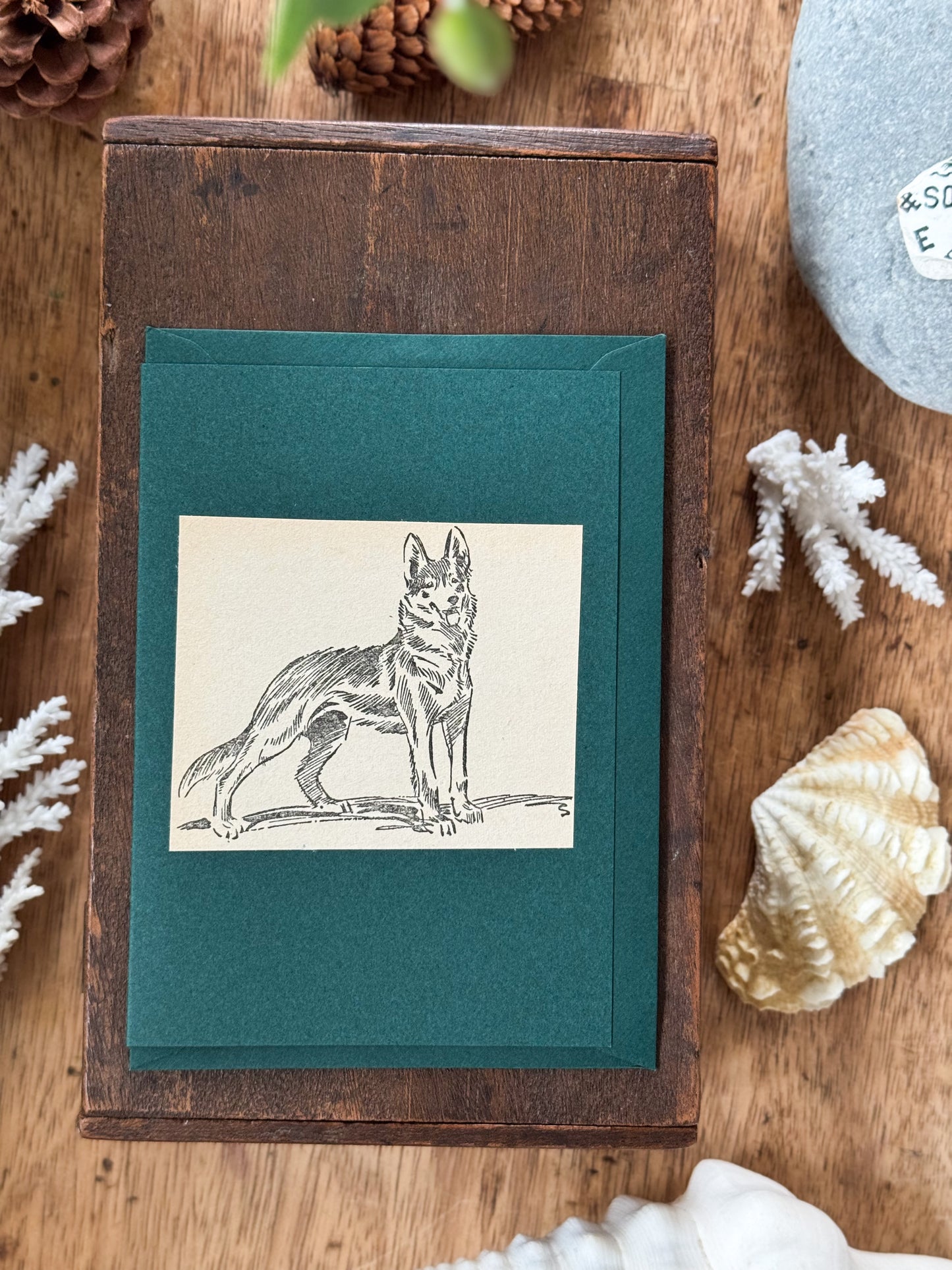Handmade Hiraeth Vintage Illustration Greeting Card ‘German Shepherd’ • A6