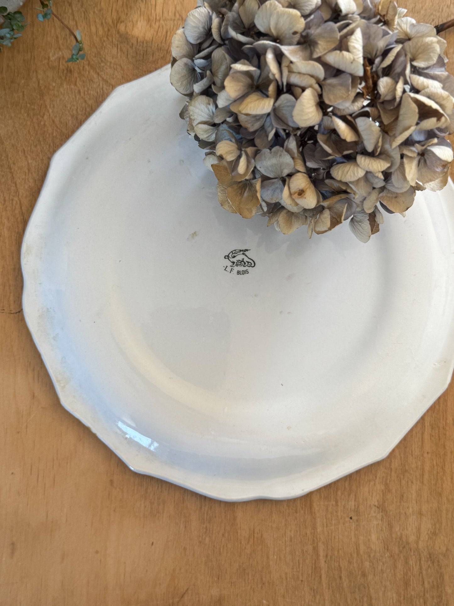 Antique French Faience Plate – L. F. Blois, c. Late 19th Century