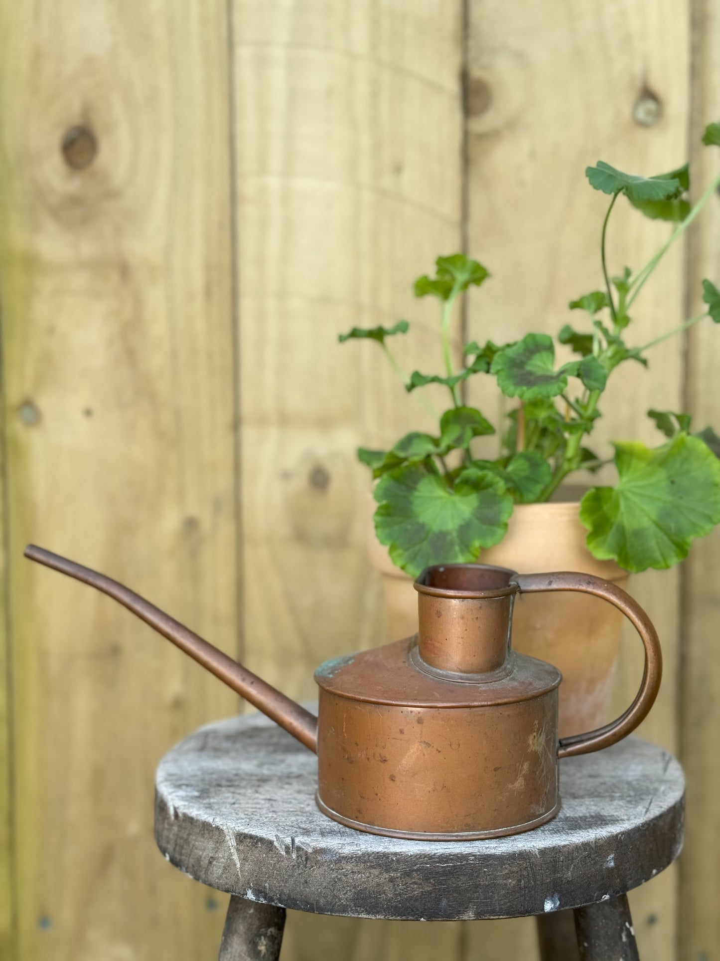 Vintage HAWS Copper Watering Can