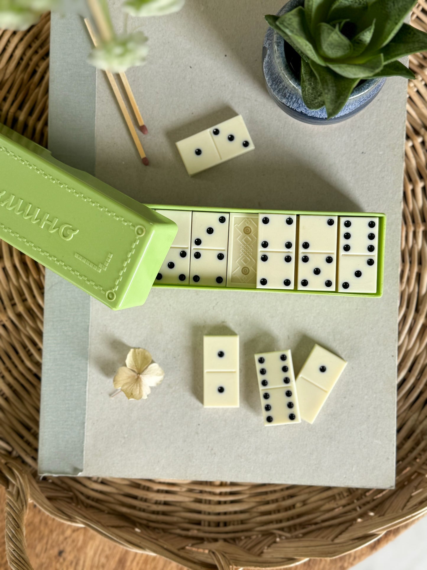 Vintage Bakelite Dominoes