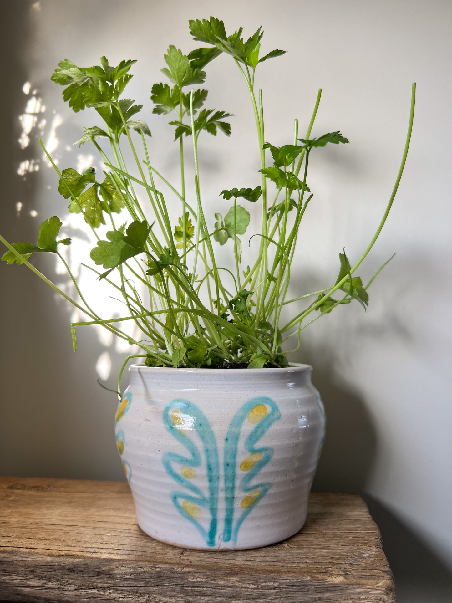 Studio Pottery Sea Kelp Pot by Wimborne Pottery