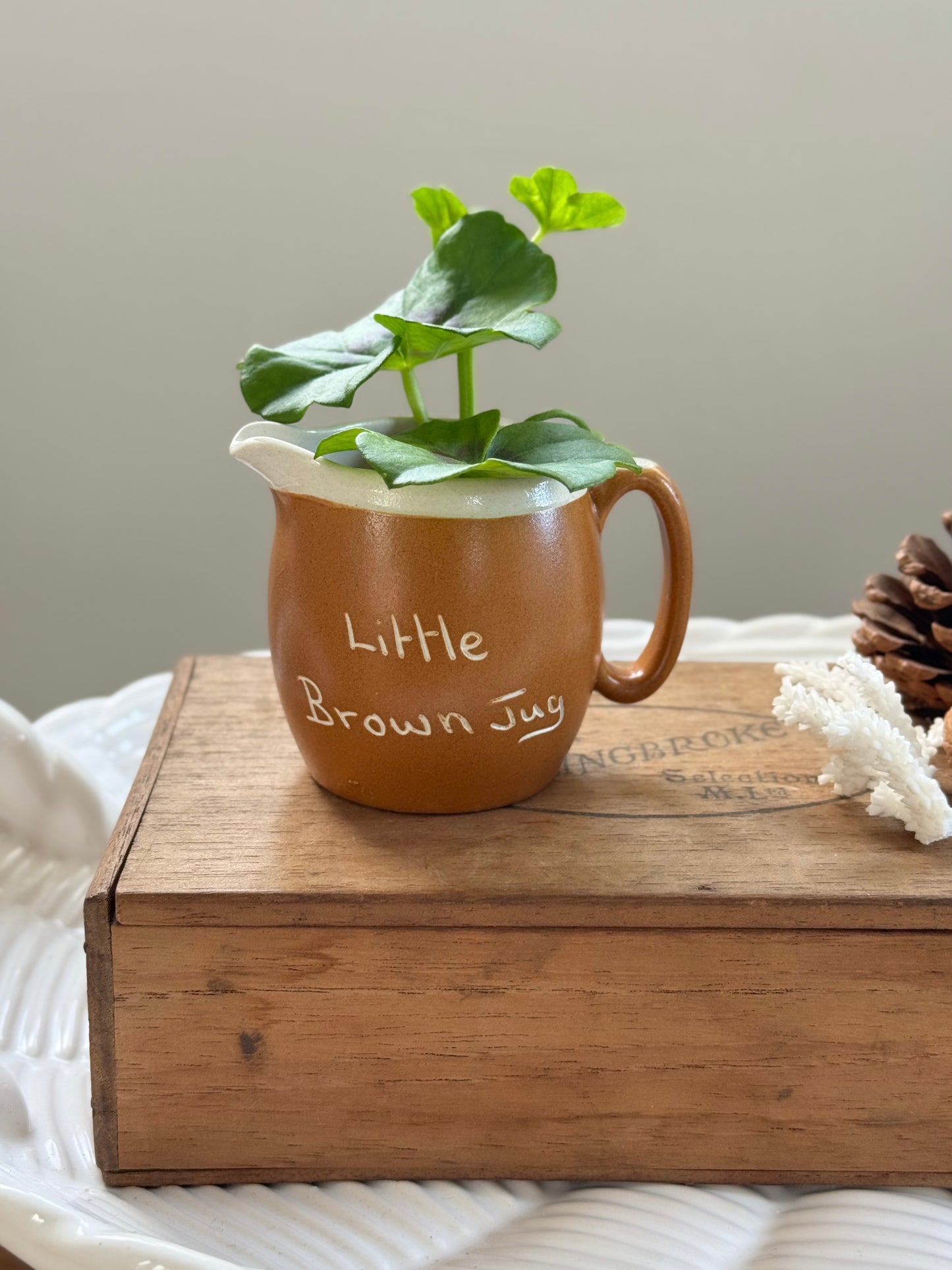 Vintage “Little Brown Jug” Miniature Pitcher - Seaside Souvenir