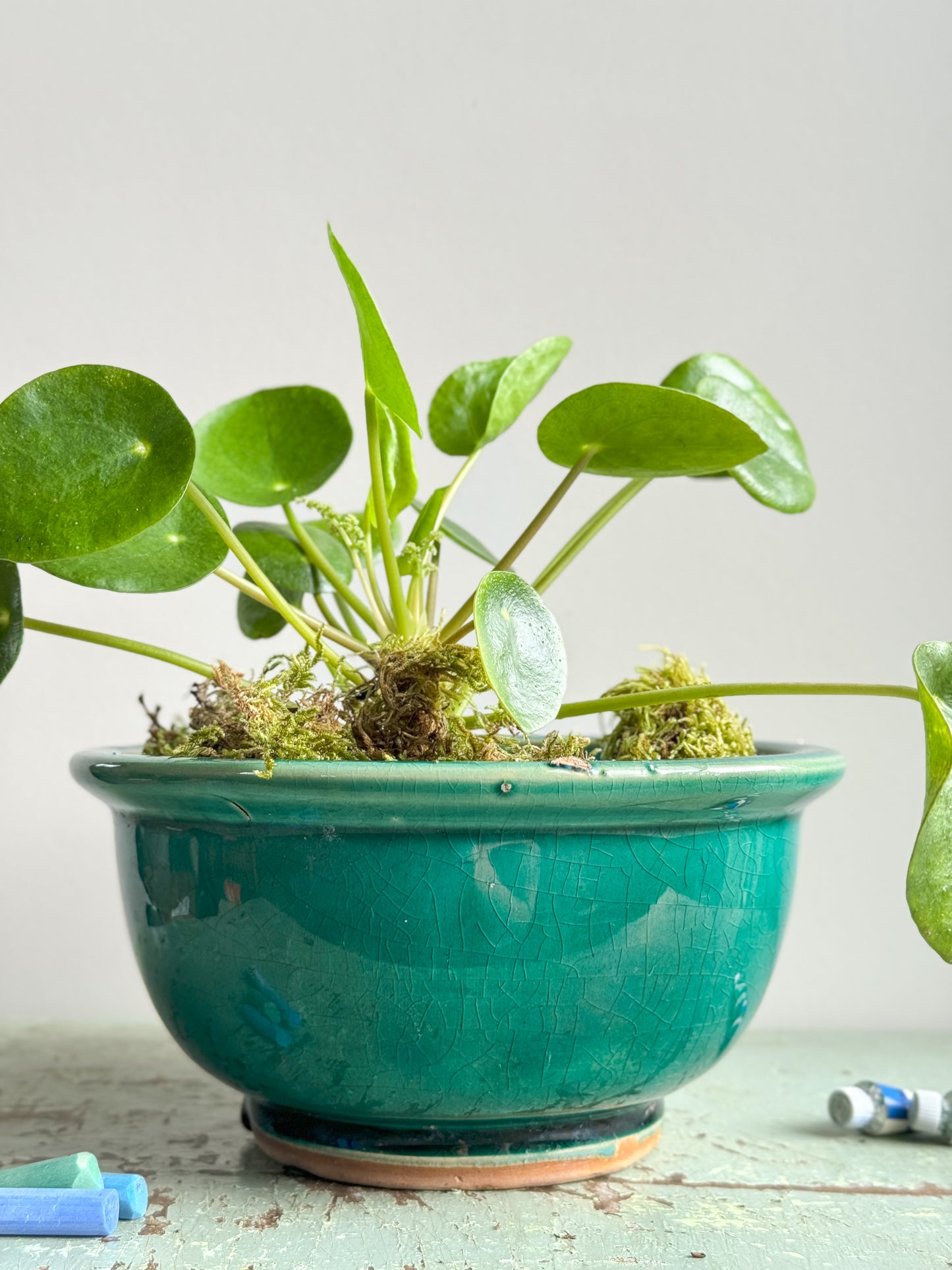 Antique Green Glazed Ceramic Bowl