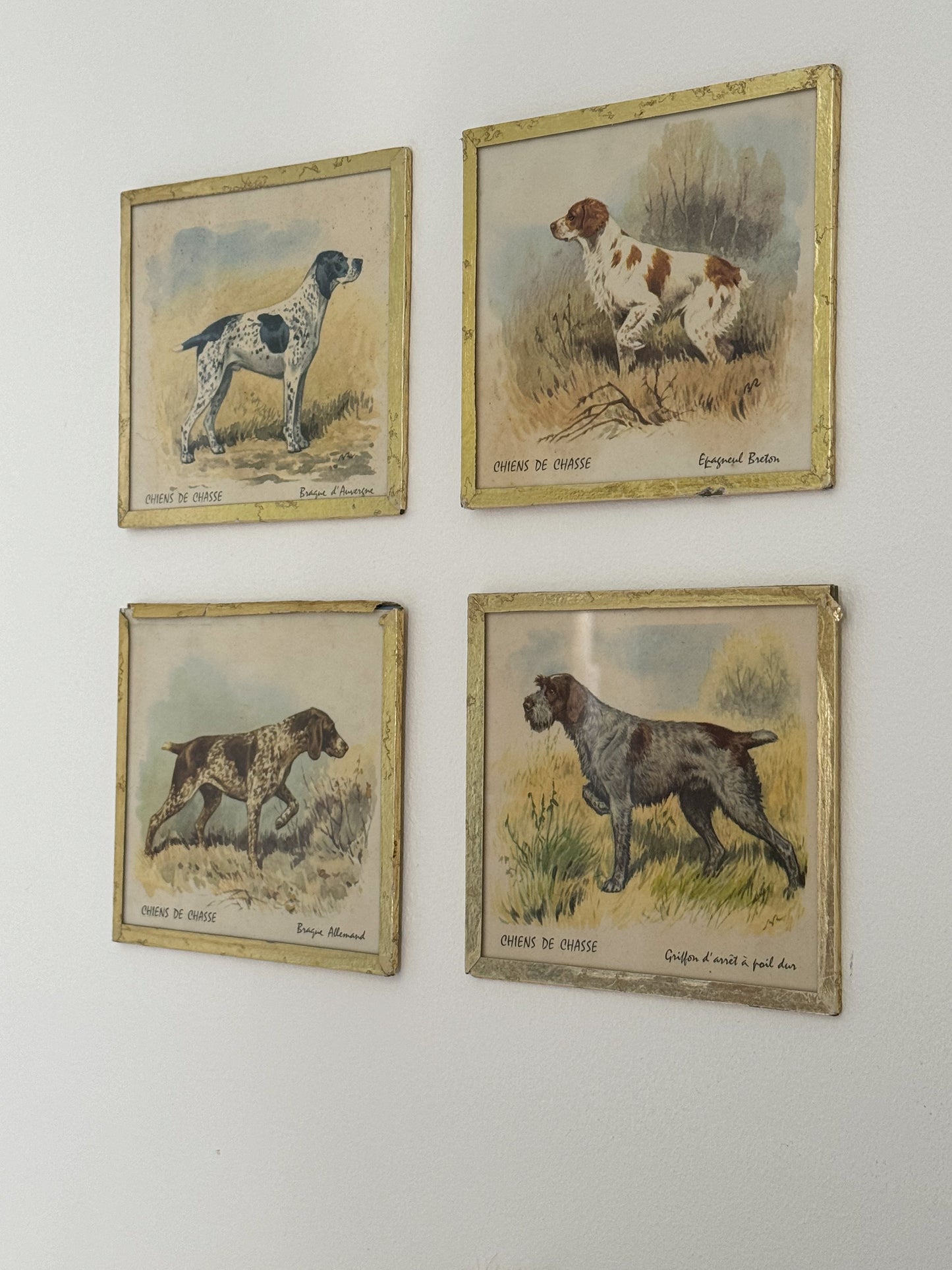 Antique French Chiens de Chasse, Hunting Dog Prints in Glass Frames • Set of 4