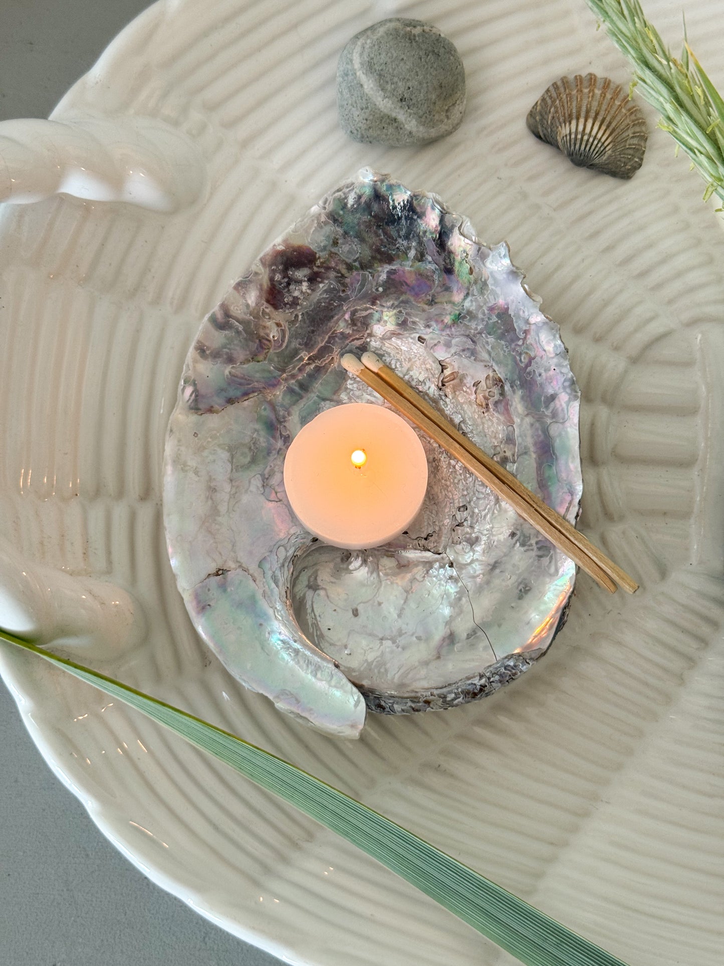 Natural Pearlescent Abalone Shell