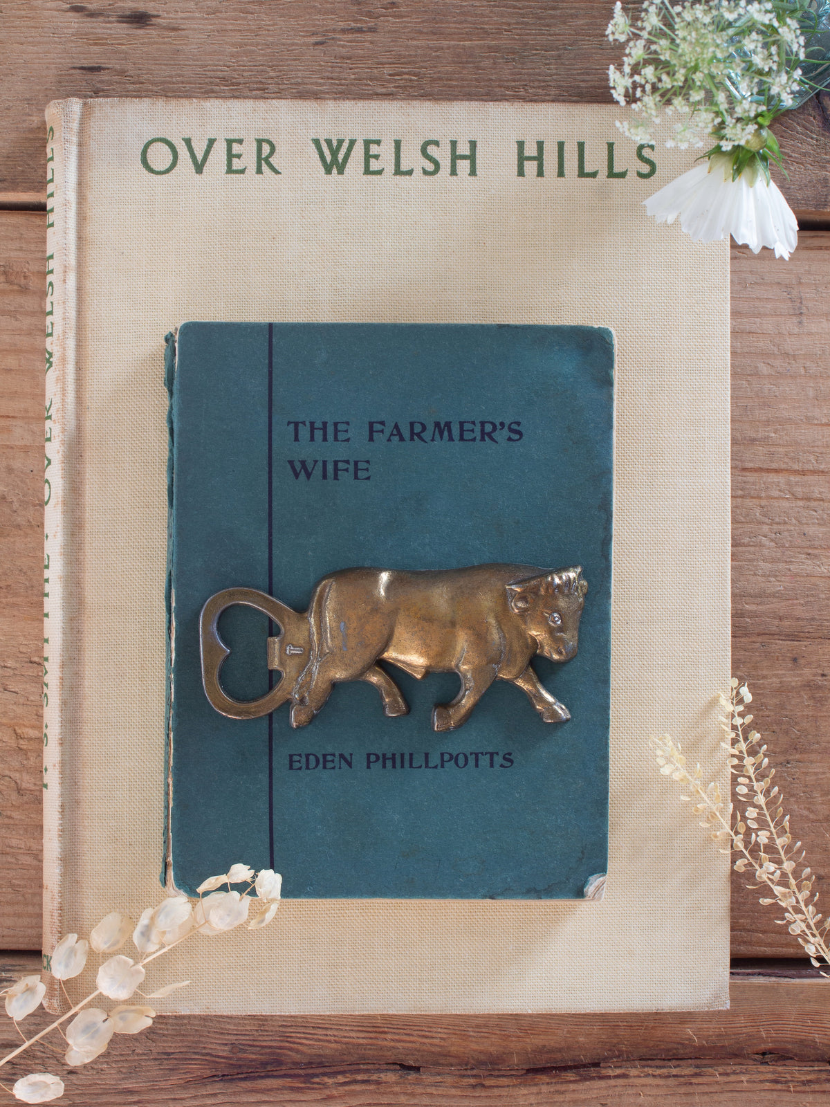 Vintage Solid Brass Bull Bottle Opener