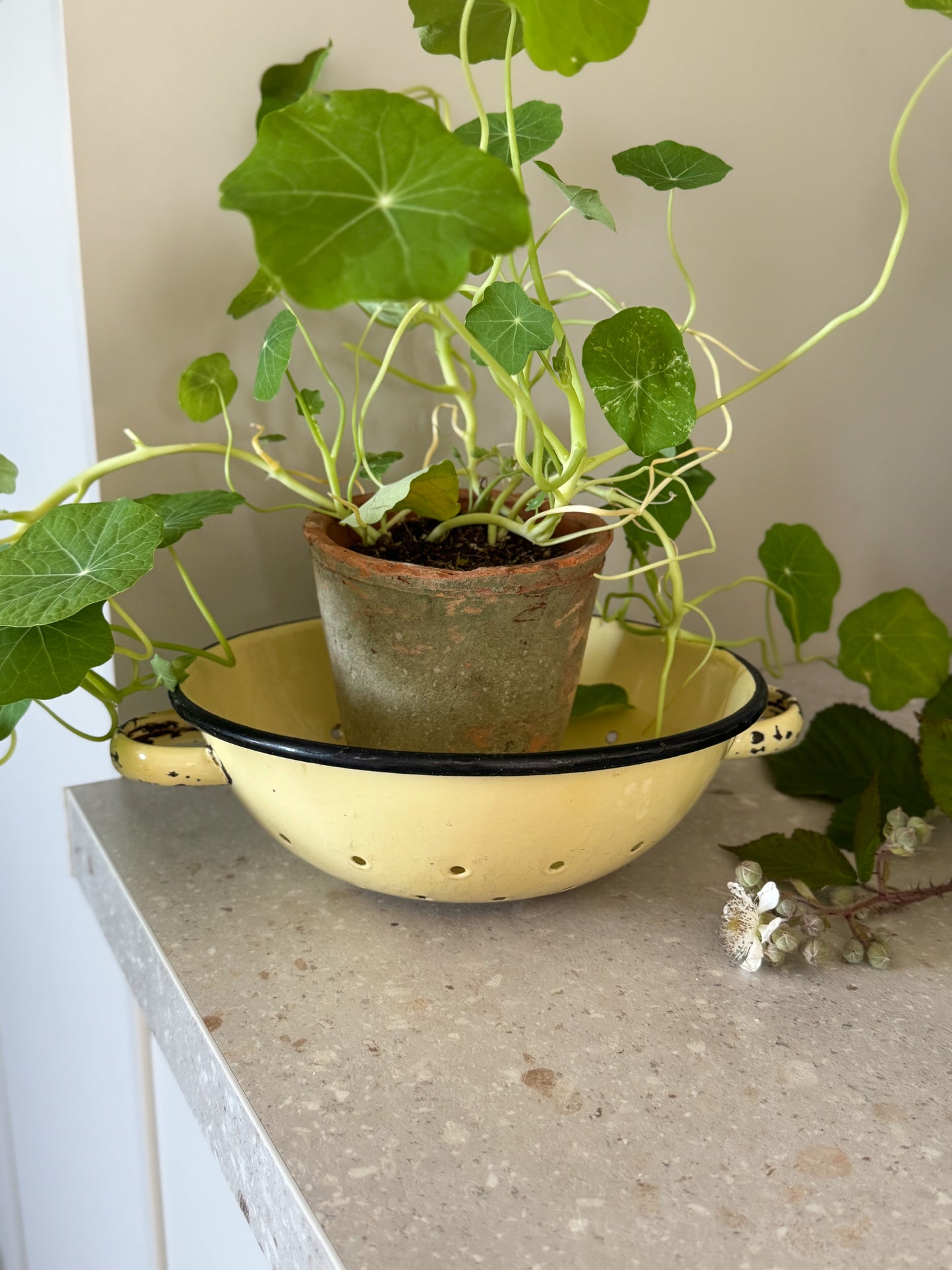 Vintage Soft Yellow Enamel Colander