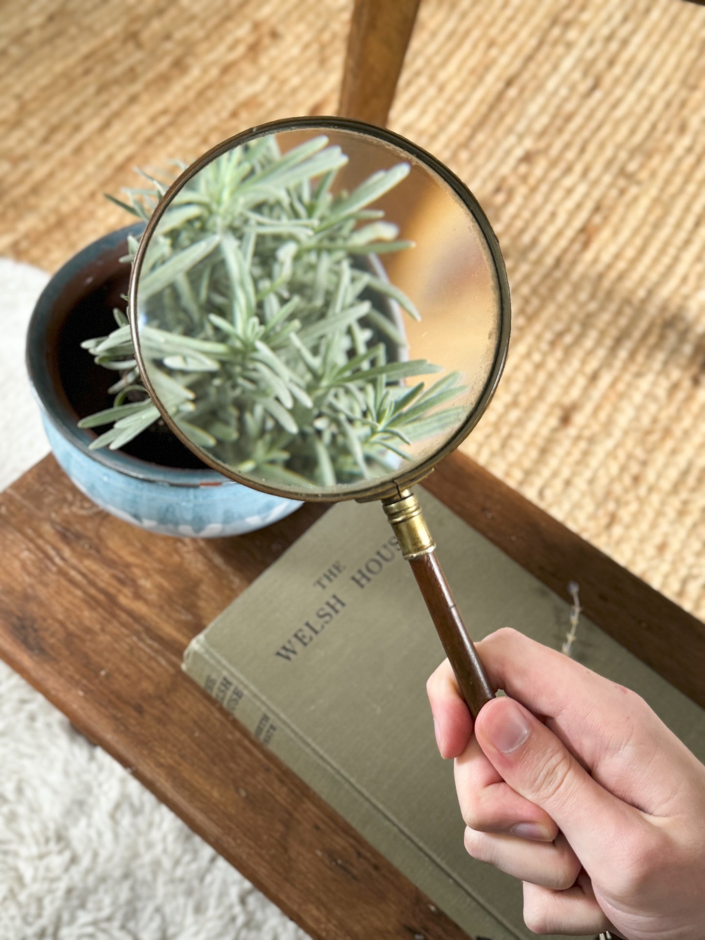 Large Antique Brass Magnifying Glass with Wooden Handle