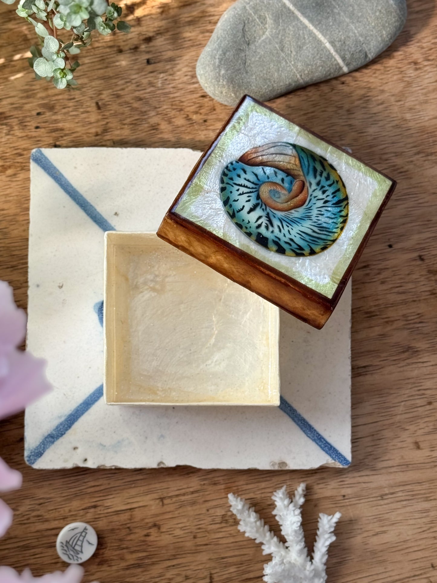 Vintage Capiz Shell Box with Spiral Shell Illustration