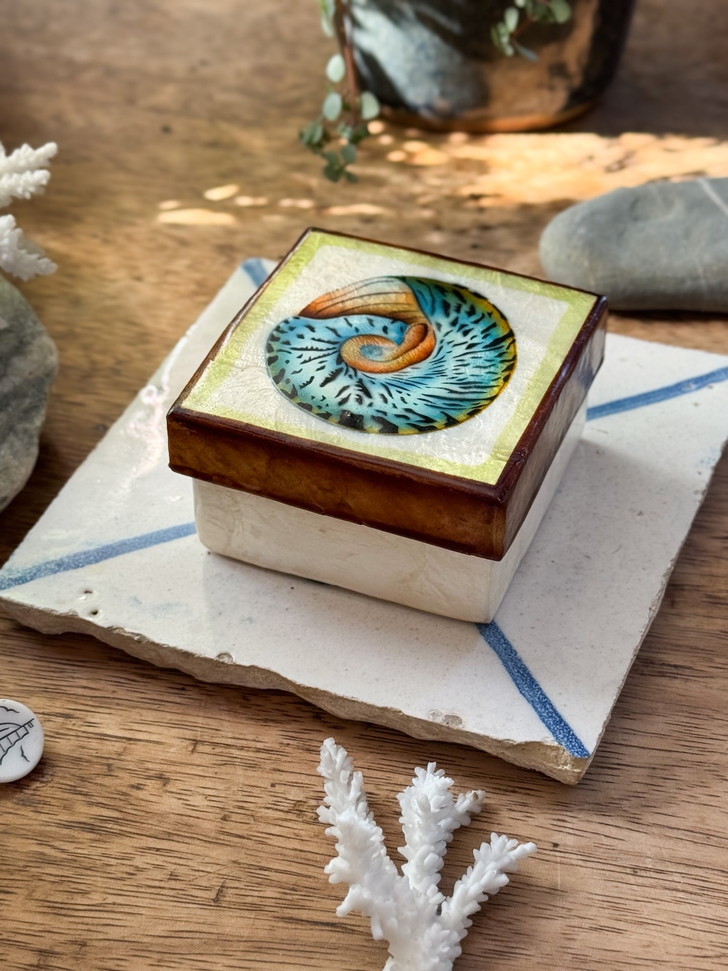 Vintage Capiz Shell Box with Spiral Shell Illustration