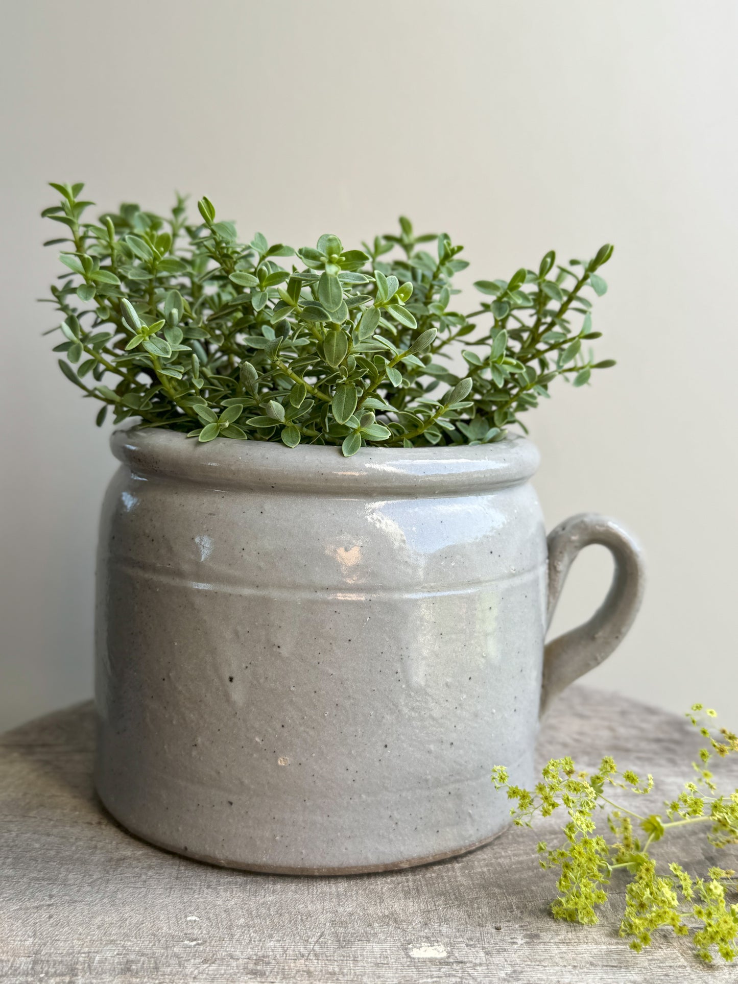 Antique Grey French Stoneware Confit Pot (Medium)