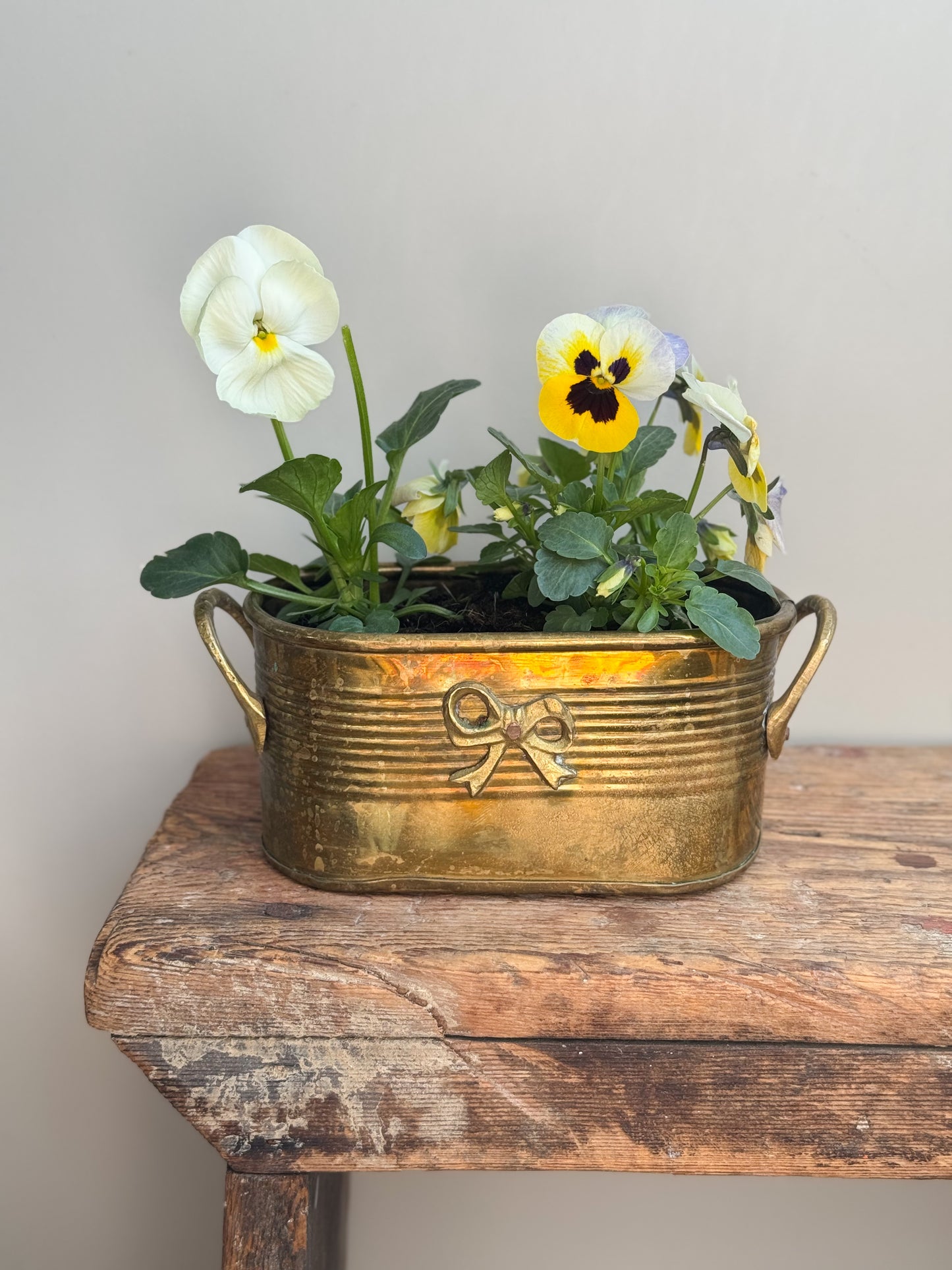 Vintage Brass Planter with Bow Detail