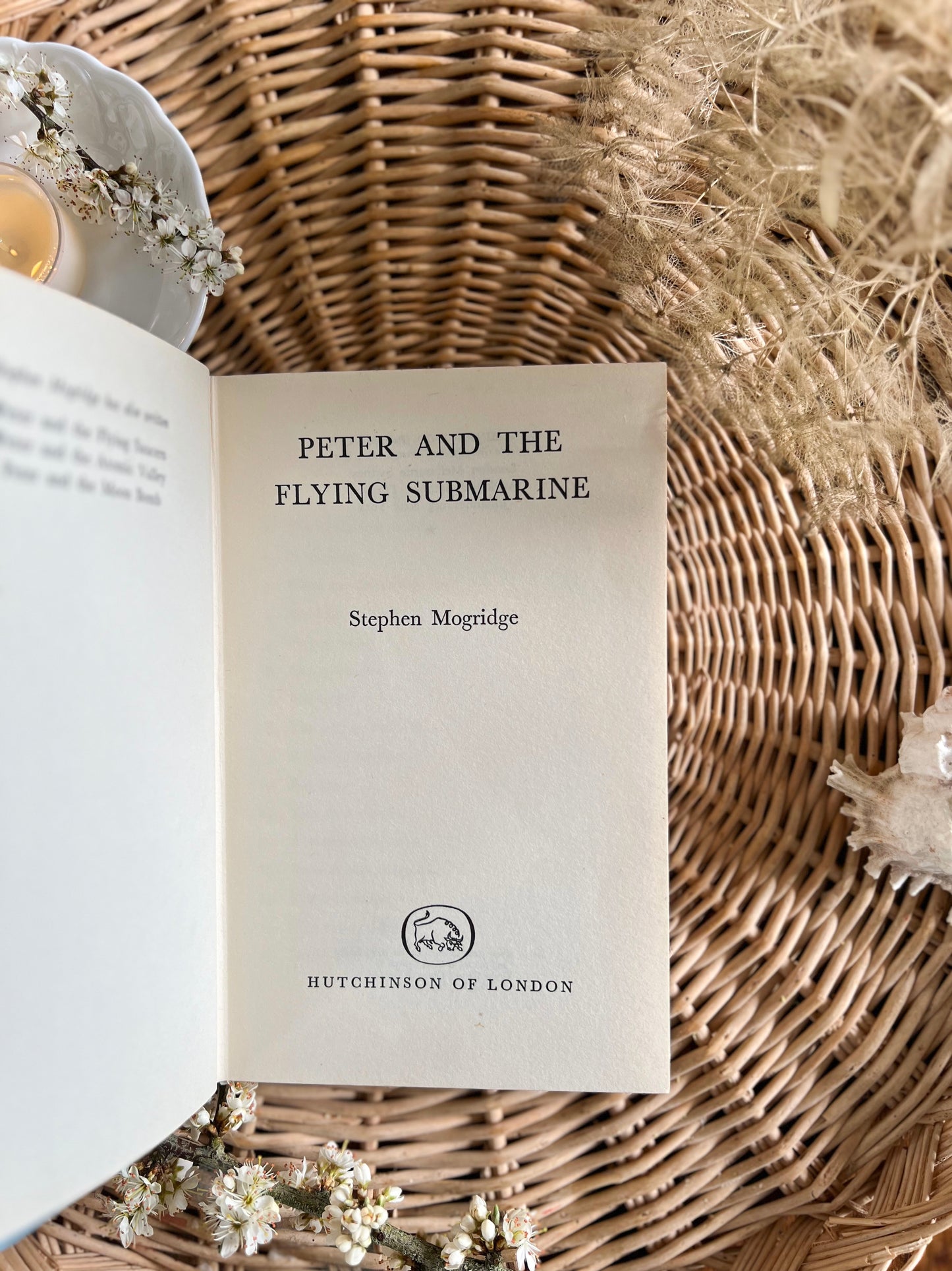 Peter & The Flying Submarine, Stephen Mogridge, First Edition