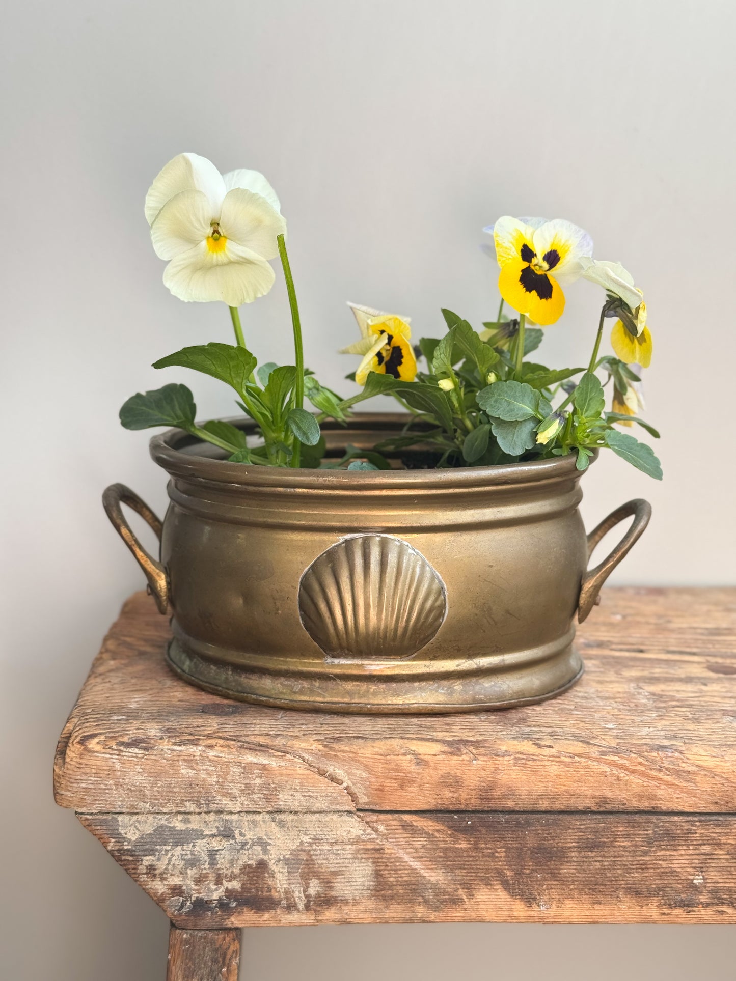 Vintage Brass Planter with Shell Detail