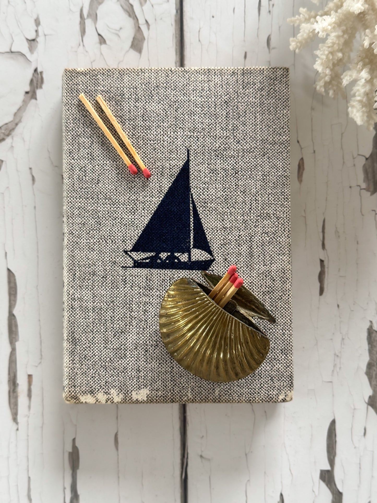 Rare Antique Brass Shell Shaped Vesta Case