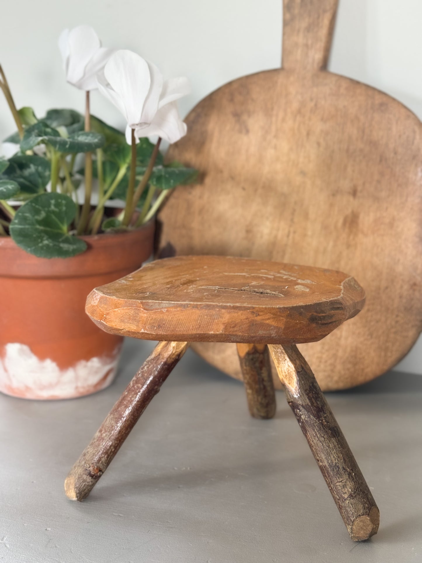 Small Handmade Treen Raw Wood Plant Stand • Stool