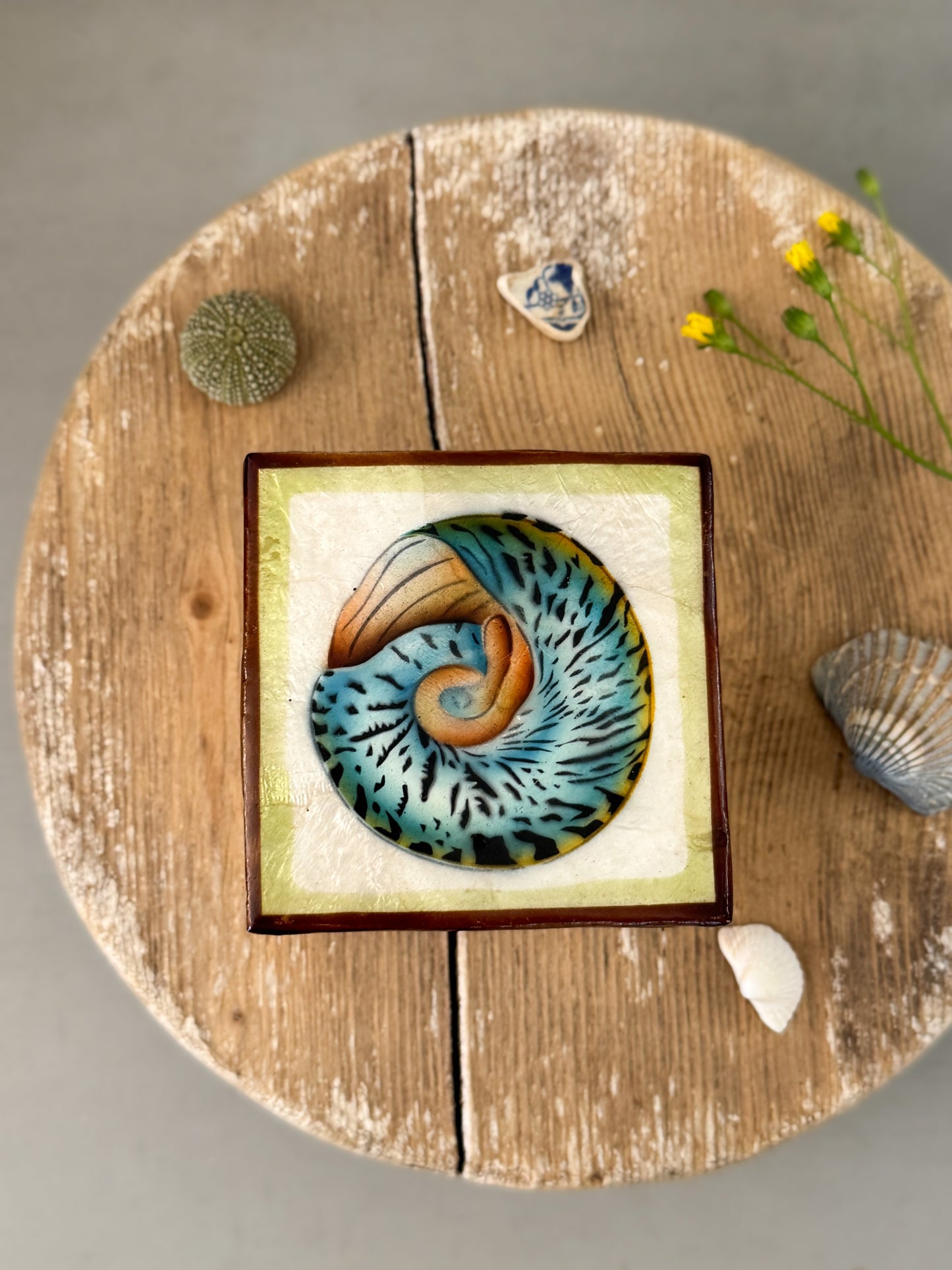 Vintage Capiz Shell Box with Spiral Shell Illustration