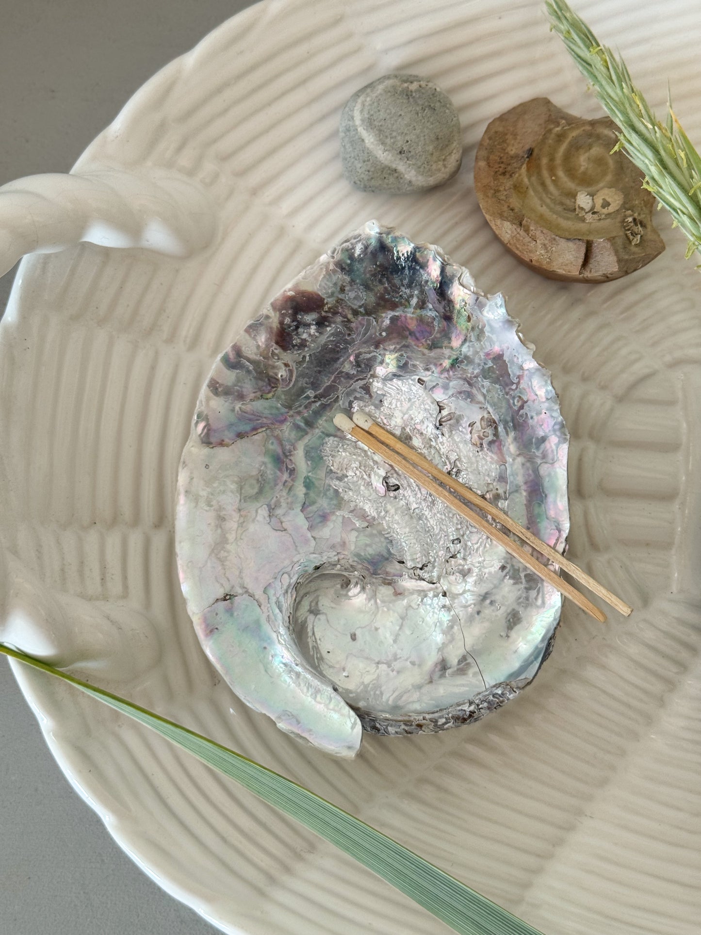 Natural Pearlescent Abalone Shell