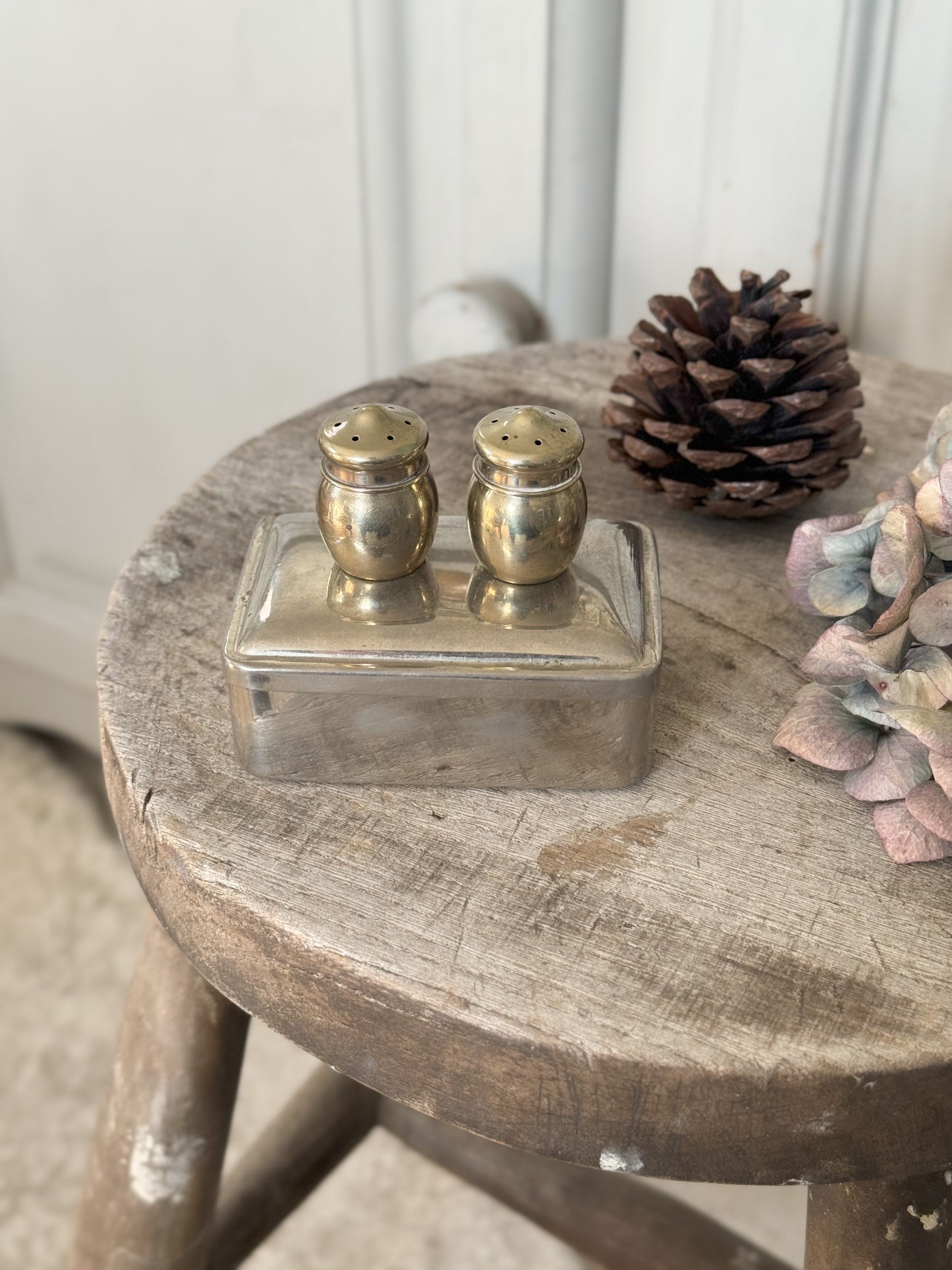Miniature Silver Plated Acorn Shaped Salt & Pepper Shakers in Silver Plated Box