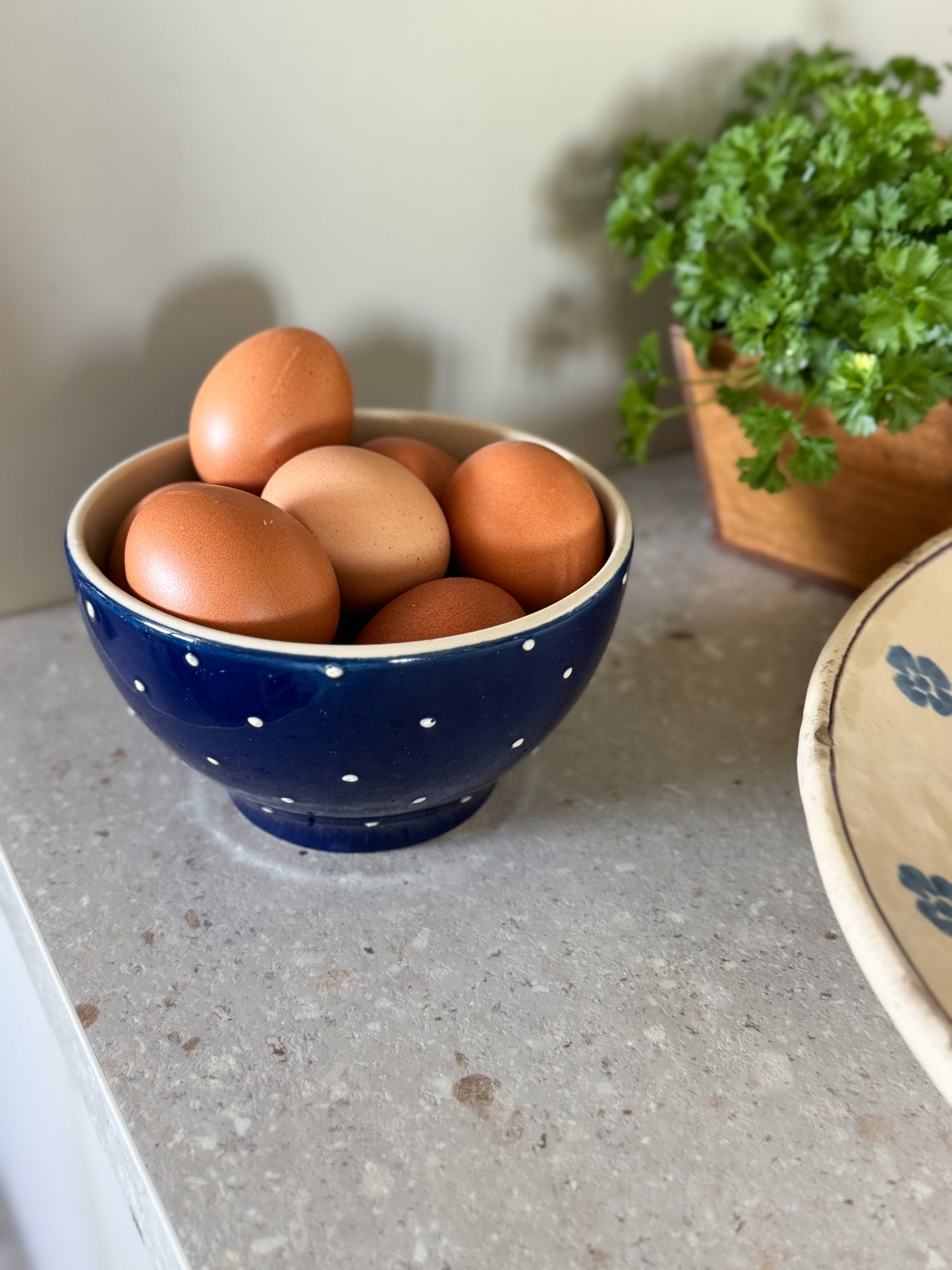 Vintage Glazed Polka Dot Bowl