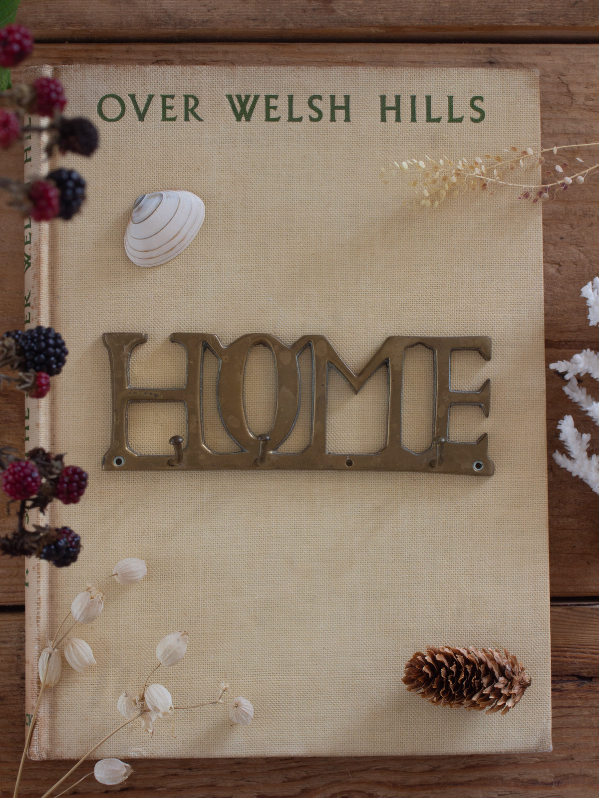 Vintage Solid Brass ‘HOME’ Wall Mounted Key Hooks