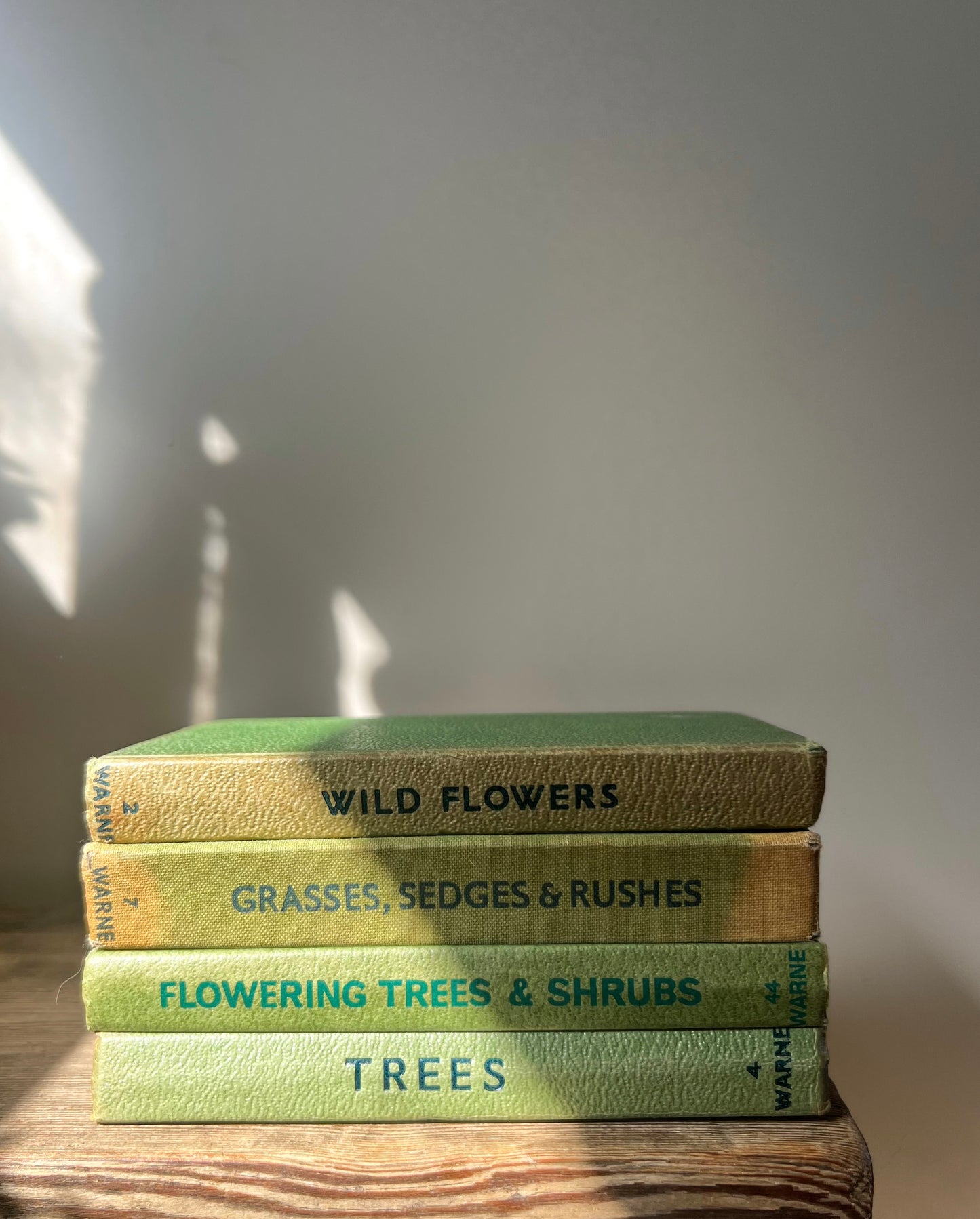 Observer Book Bundle (Option 1)