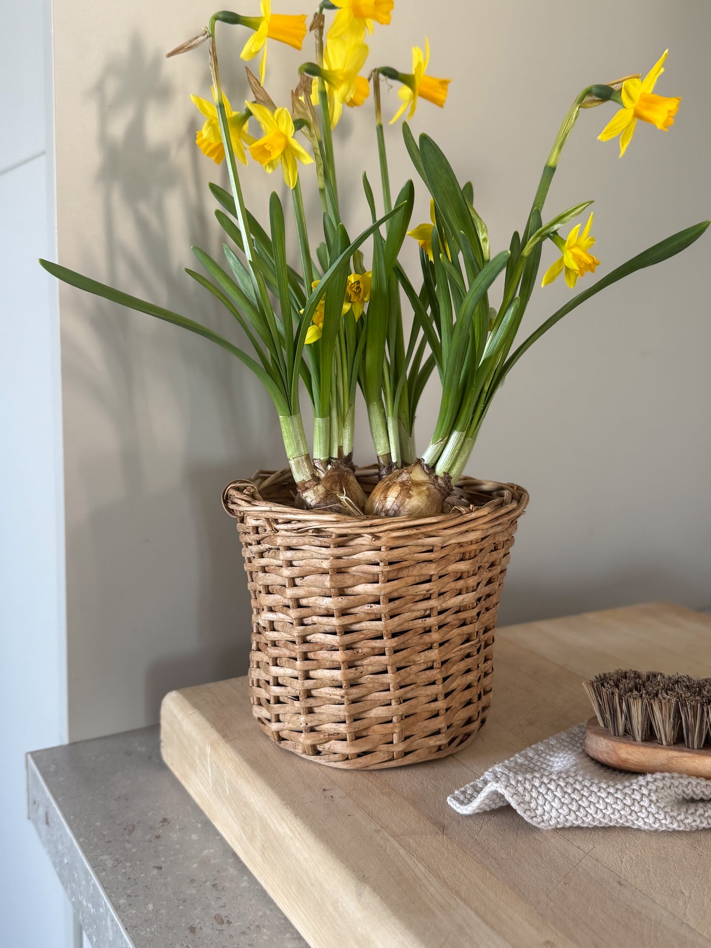 Vintage Wicker Planter
