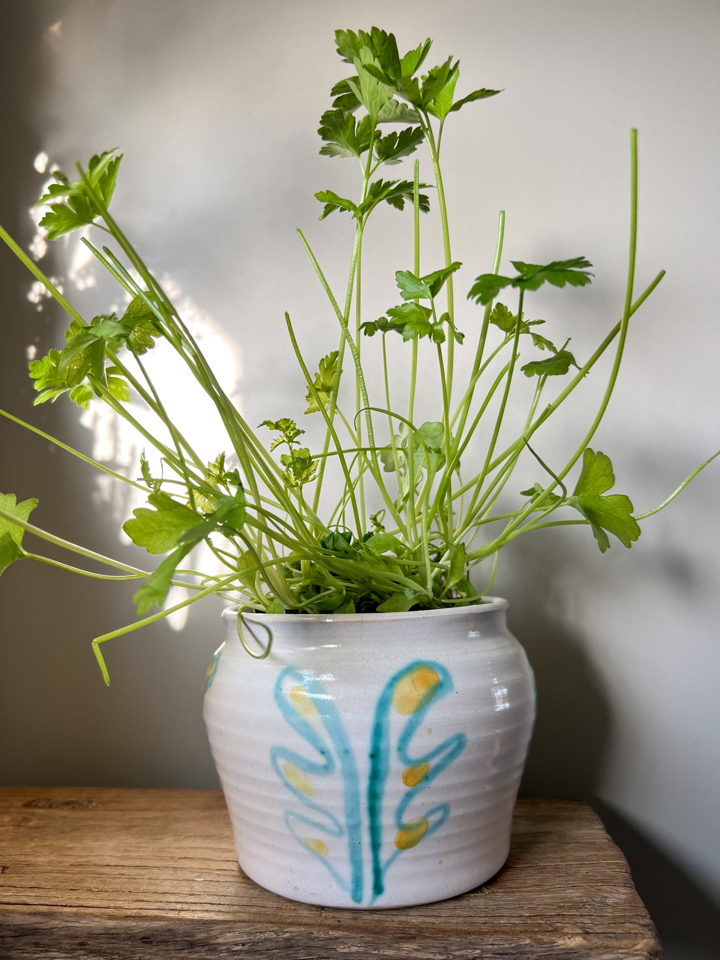 Studio Pottery Sea Kelp Pot by Wimborne Pottery