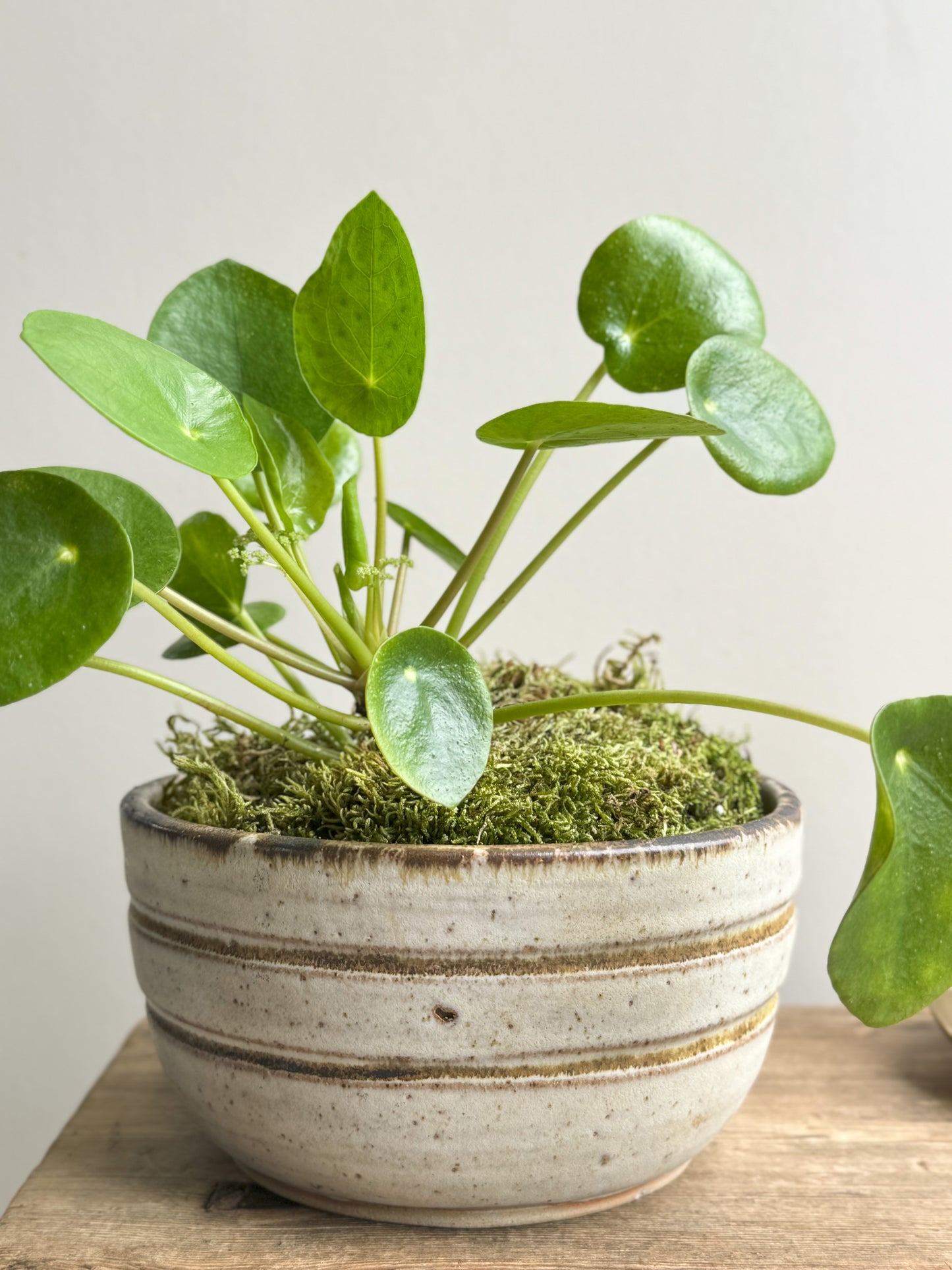 Vintage Salt Glazed Ceramic Studio Pottery Bowl · by D.Lewis