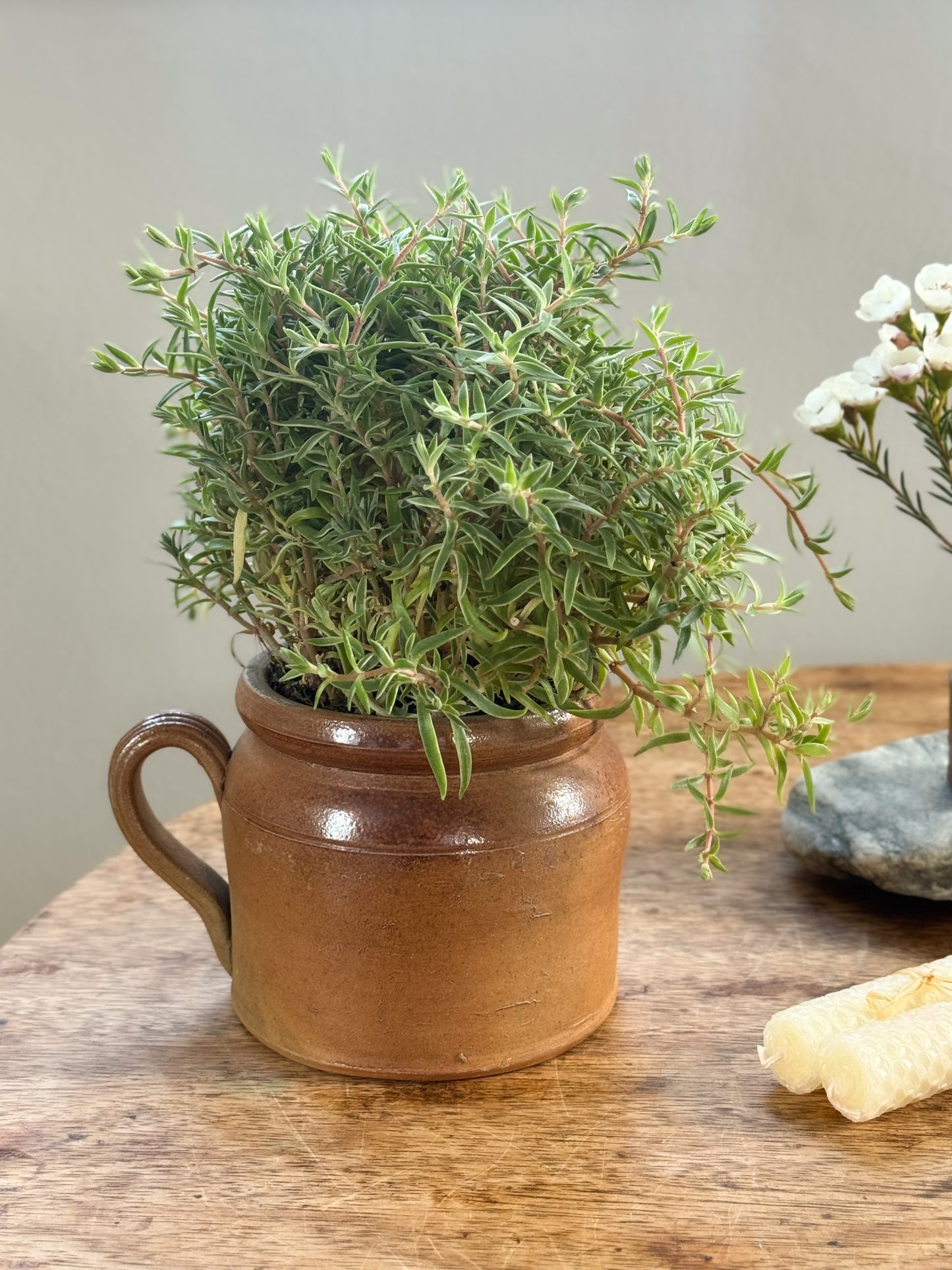 Antique French Confit Pot - Small Size